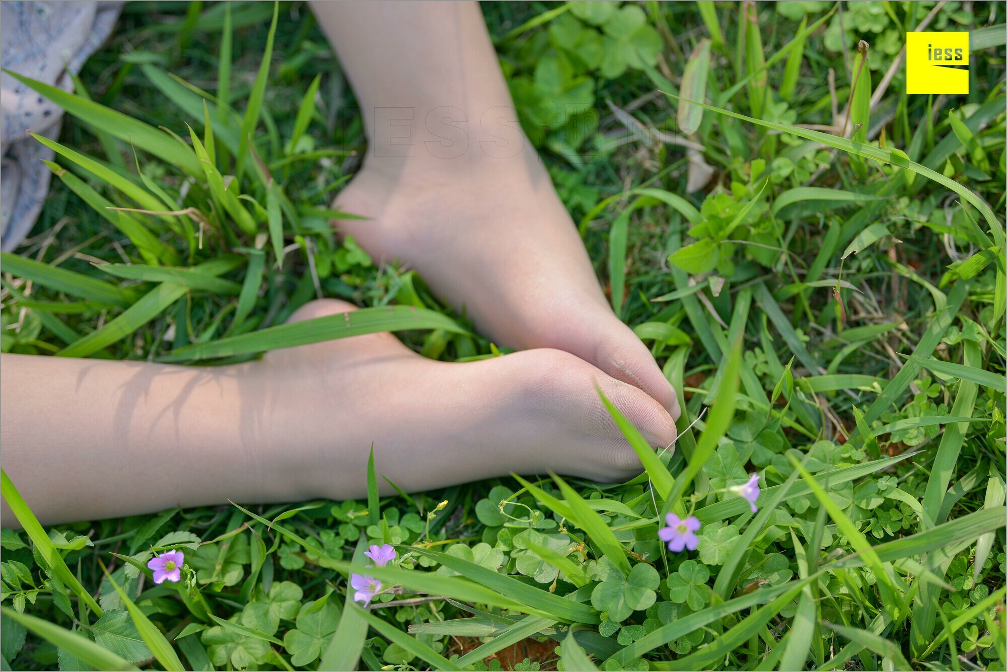 [IESS异思趣向]2018.09.03 MF.004 馨月