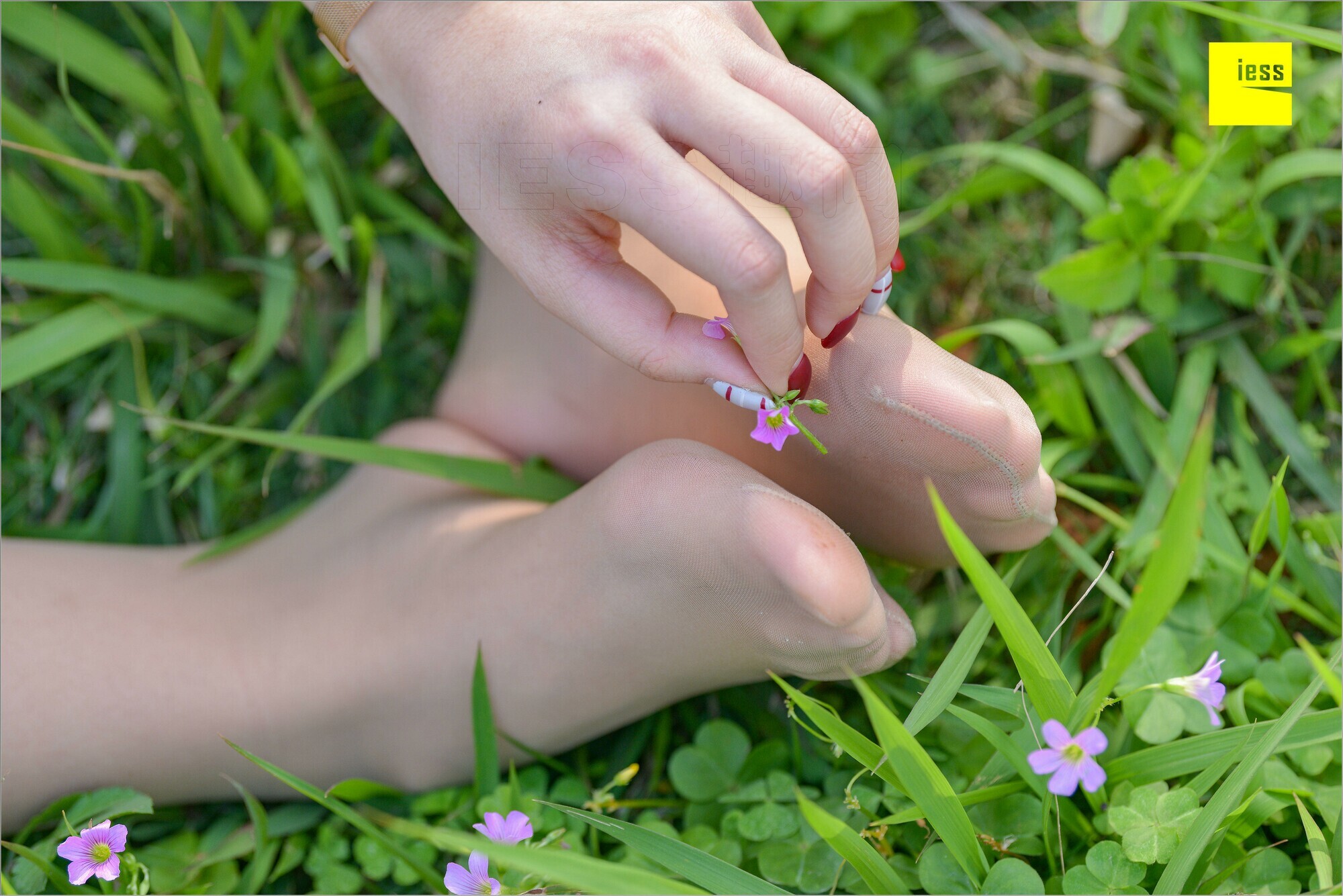 [IESS异思趣向]2018.09.03 MF.004 馨月