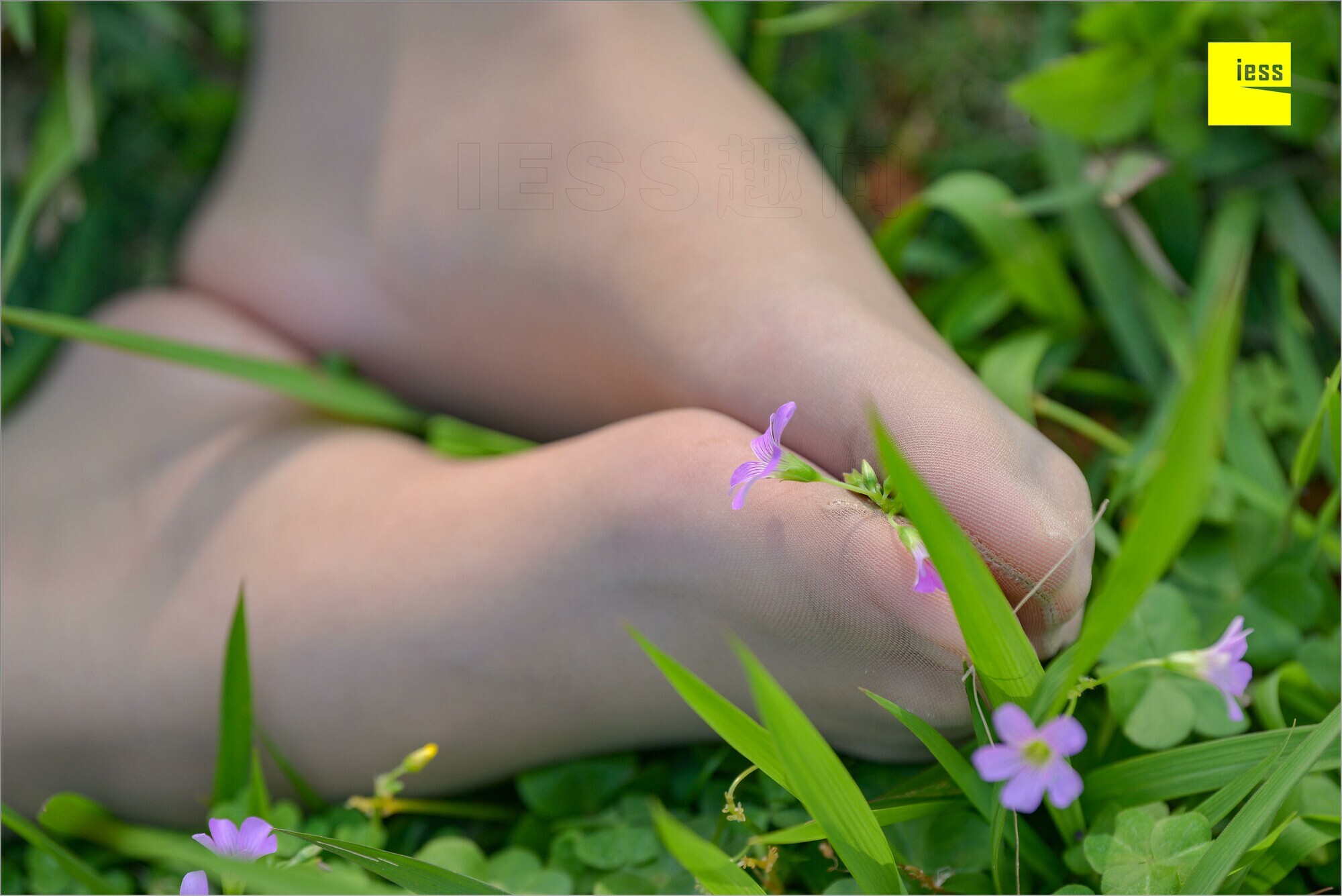 [IESS异思趣向]2018.09.03 MF.004 馨月