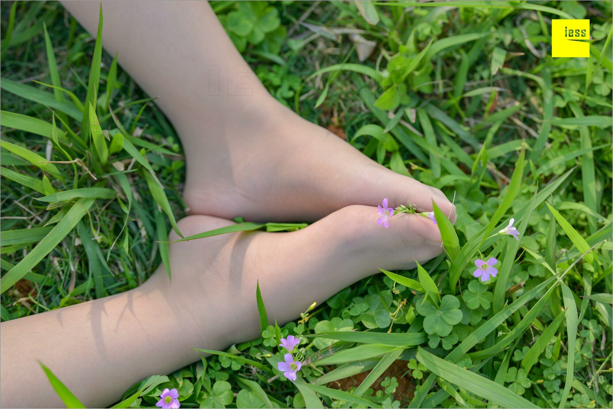 [IESS异思趣向]2018.09.03 MF.004 馨月