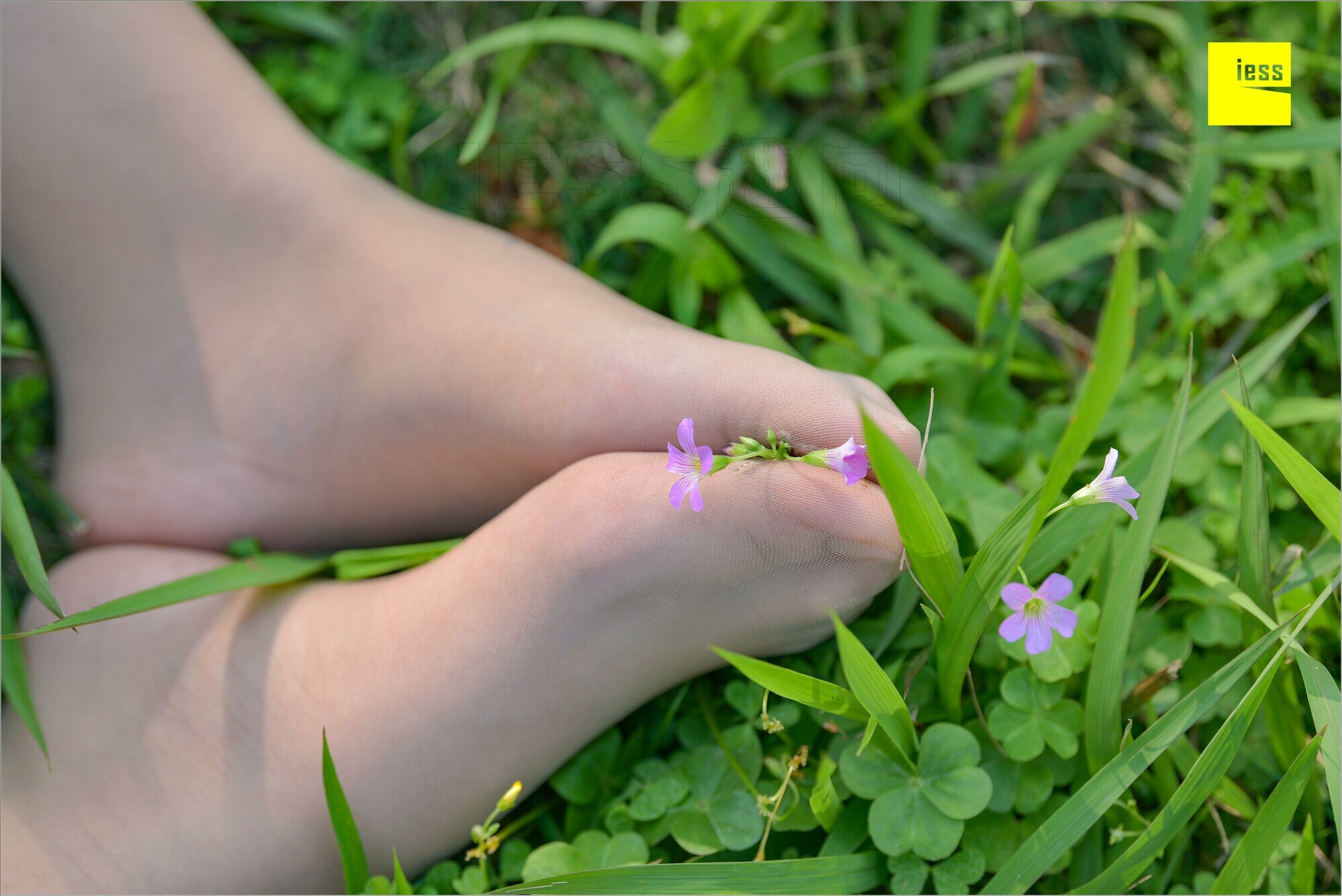 [IESS异思趣向]2018.09.03 MF.004 馨月