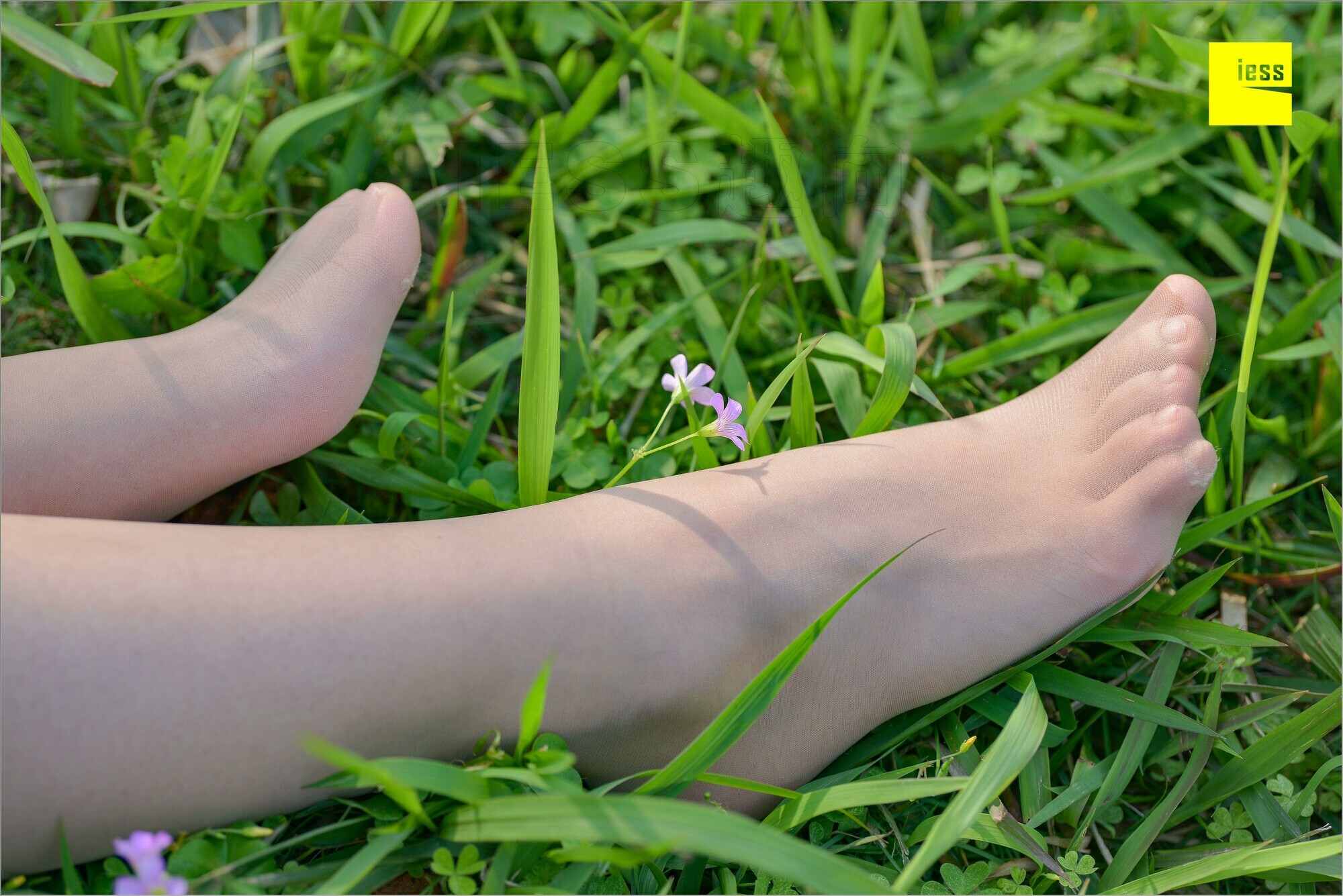 [IESS异思趣向]2018.09.03 MF.004 馨月