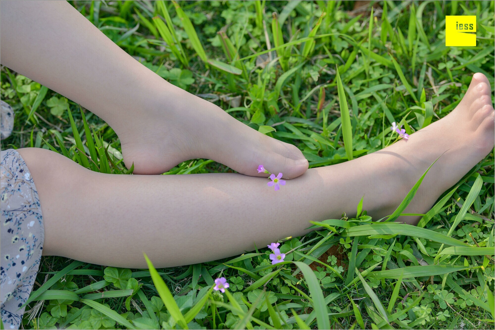 [IESS异思趣向]2018.09.03 MF.004 馨月