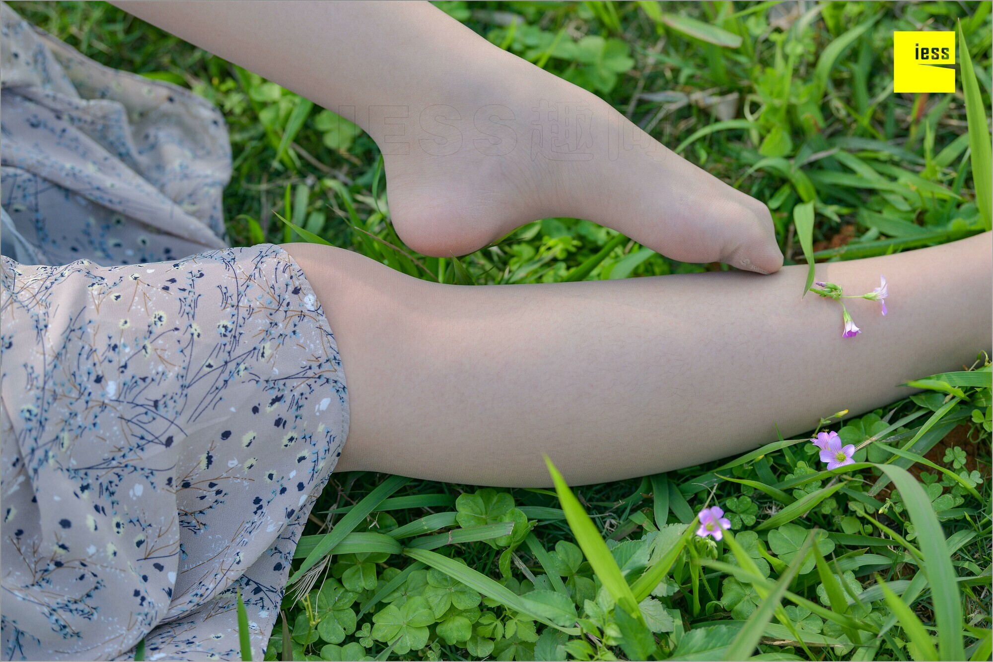 [IESS异思趣向]2018.09.03 MF.004 馨月