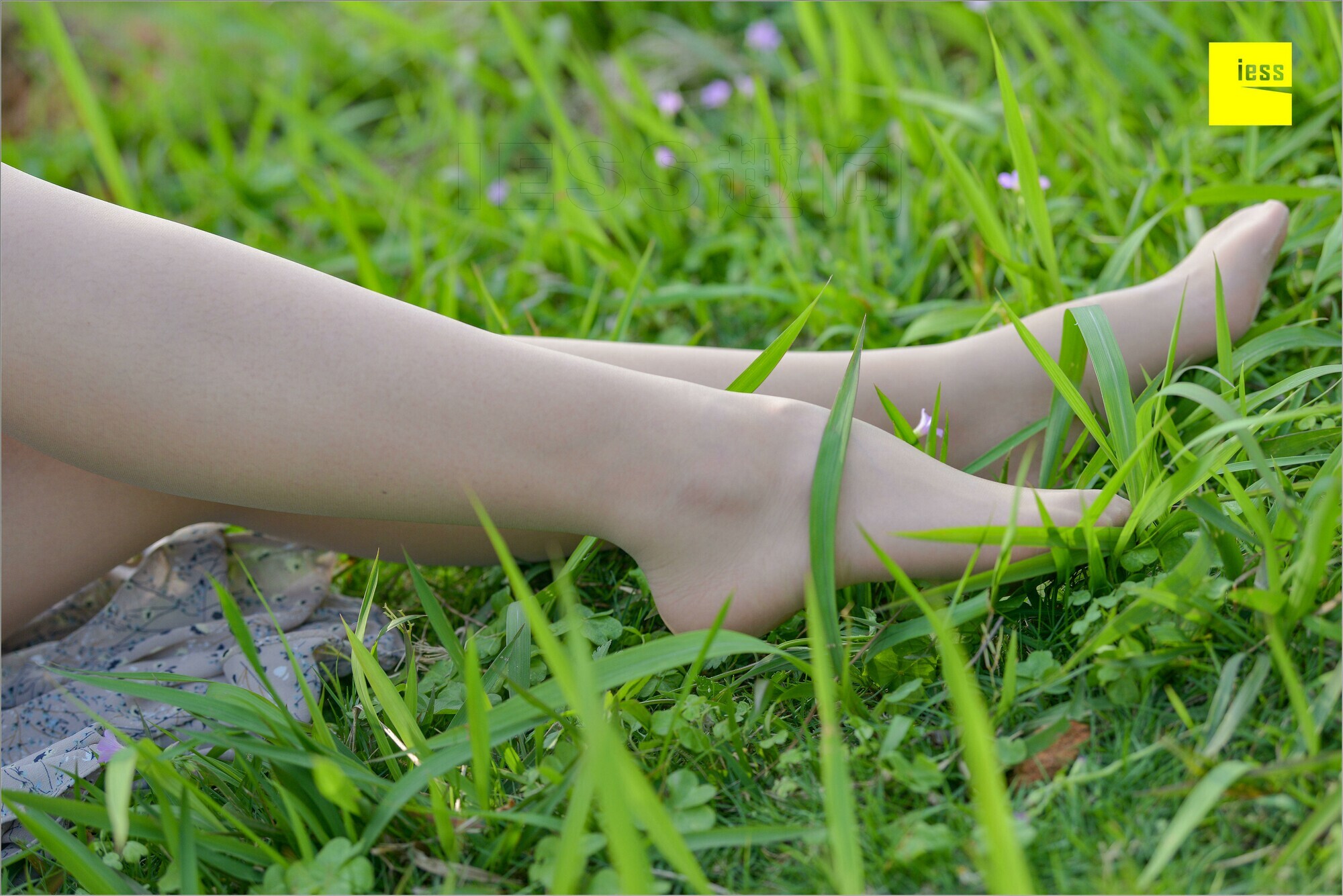 [IESS异思趣向]2018.09.03 MF.004 馨月