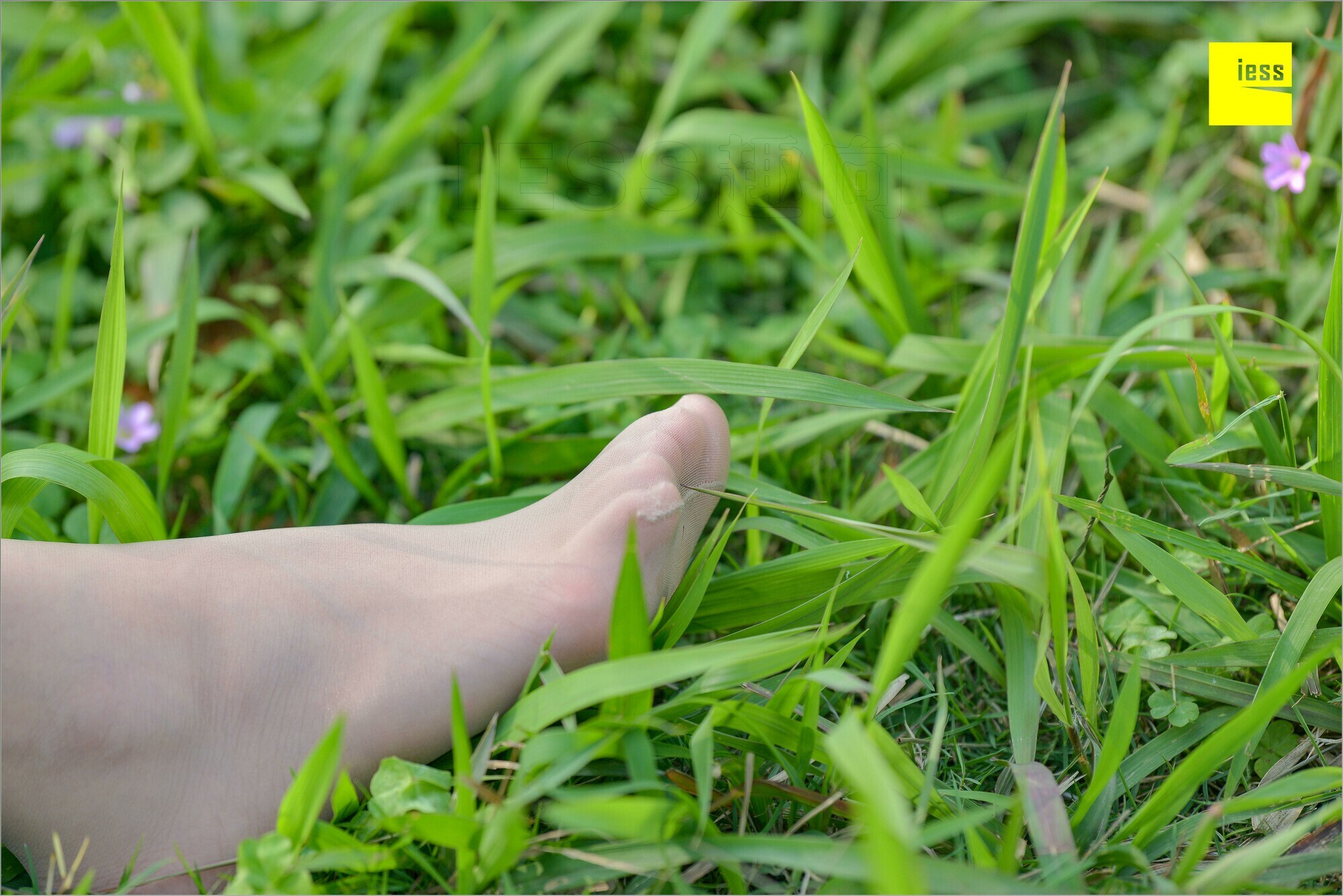 [IESS异思趣向]2018.09.03 MF.004 馨月