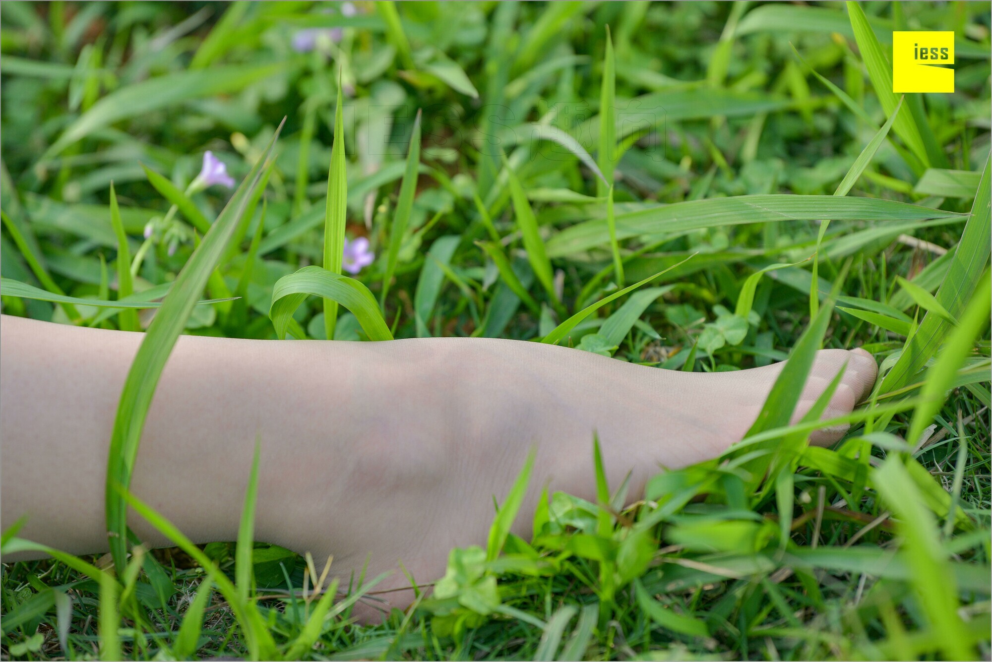 [IESS异思趣向]2018.09.03 MF.004 馨月