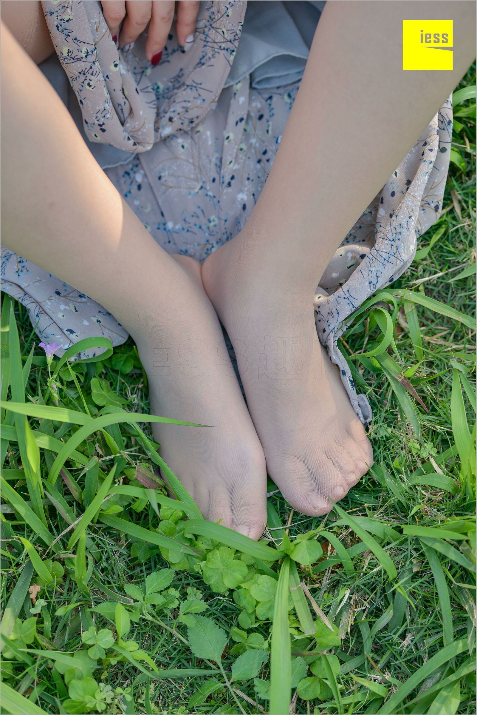 [IESS异思趣向]2018.09.03 MF.004 馨月