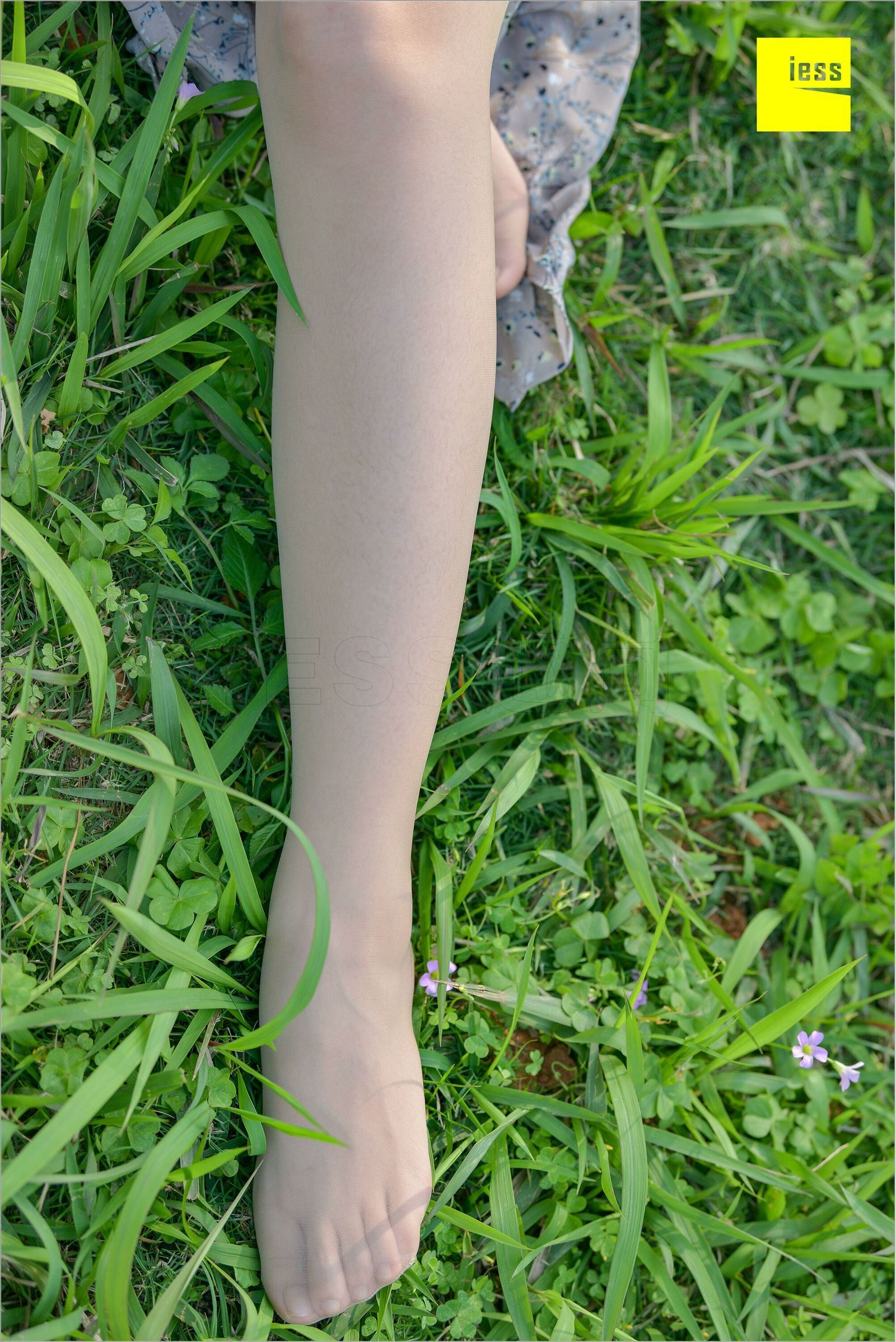 [IESS异思趣向]2018.09.03 MF.004 馨月