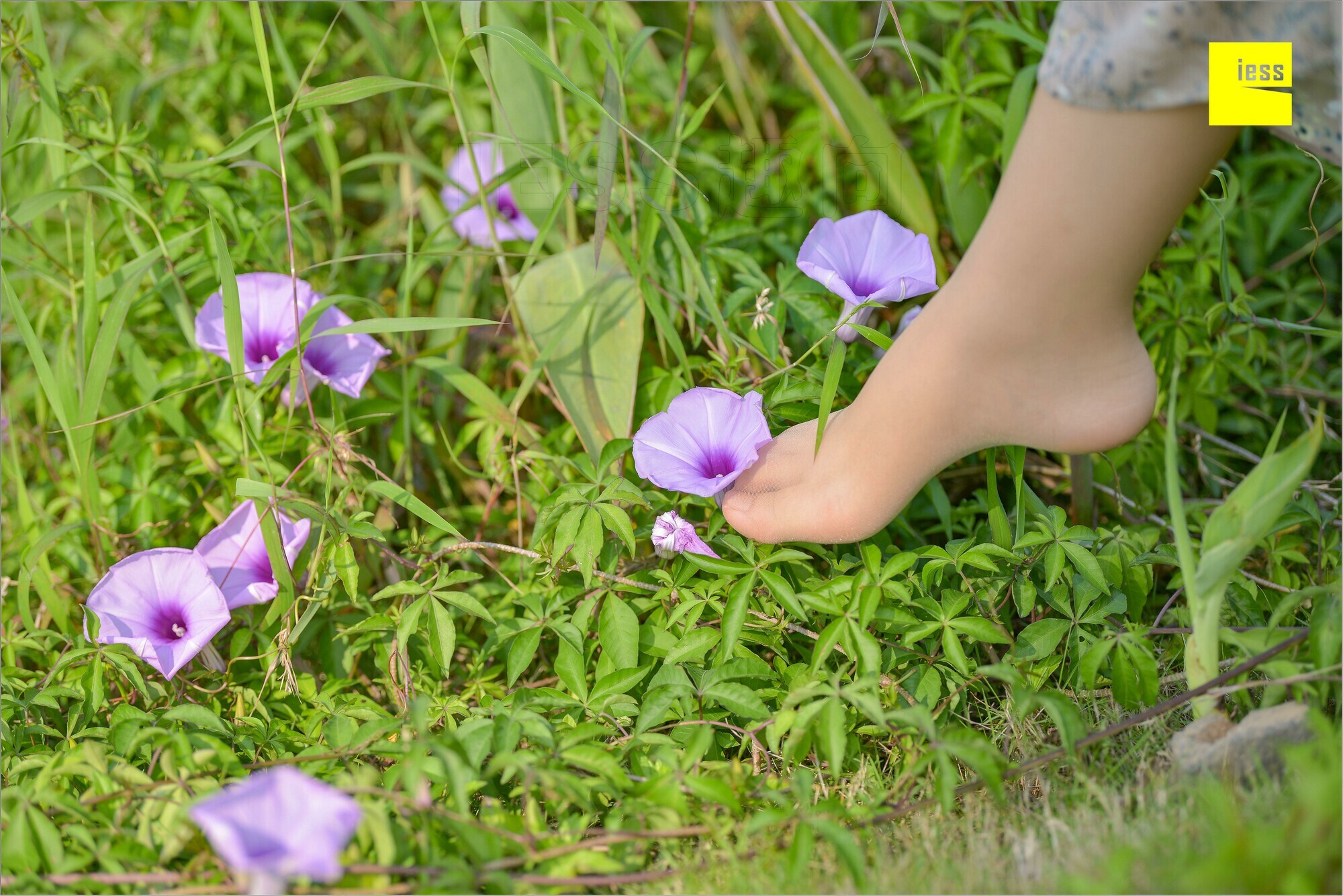 [IESS异思趣向]2018.09.03 MF.004 馨月