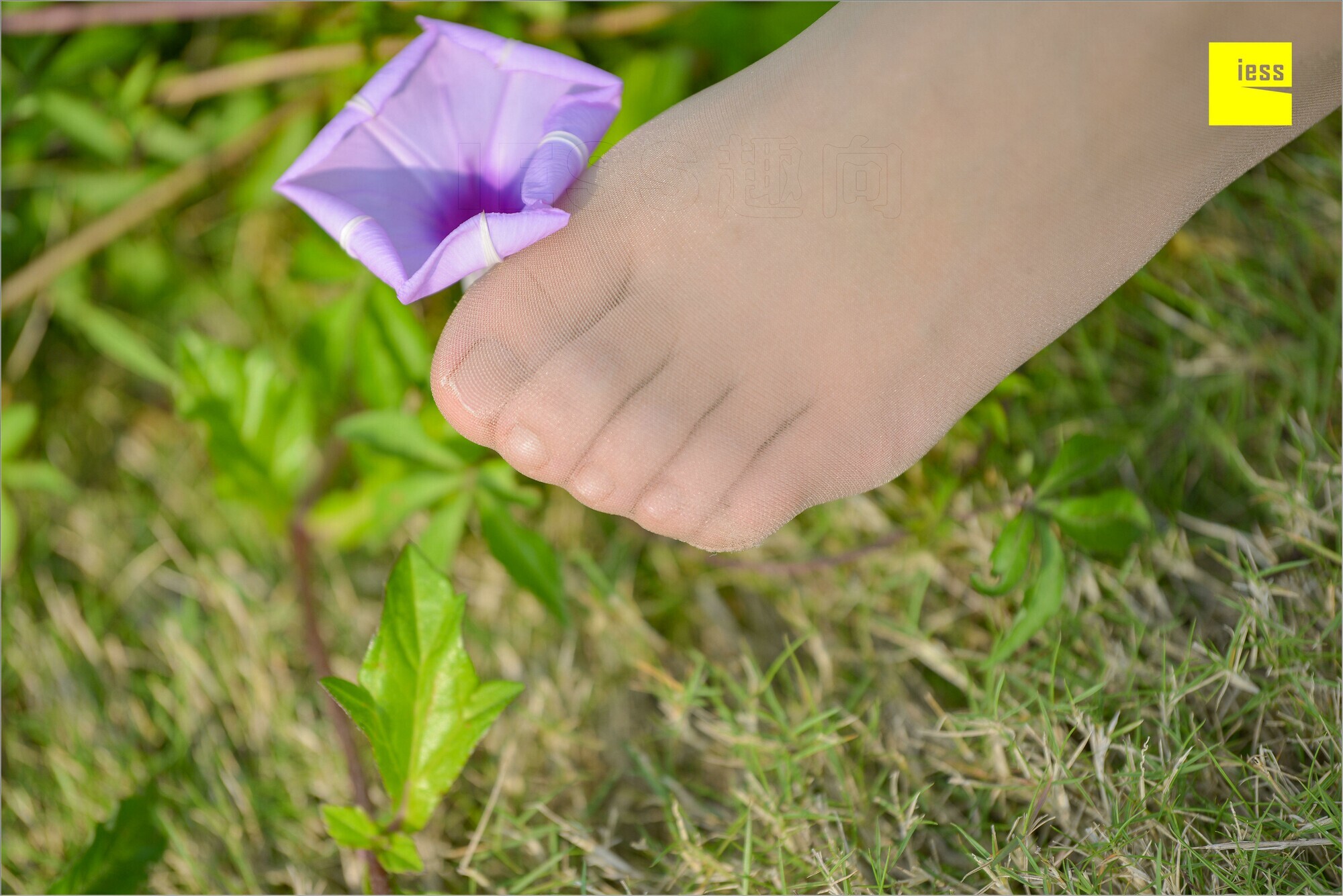 [IESS异思趣向]2018.09.03 MF.004 馨月