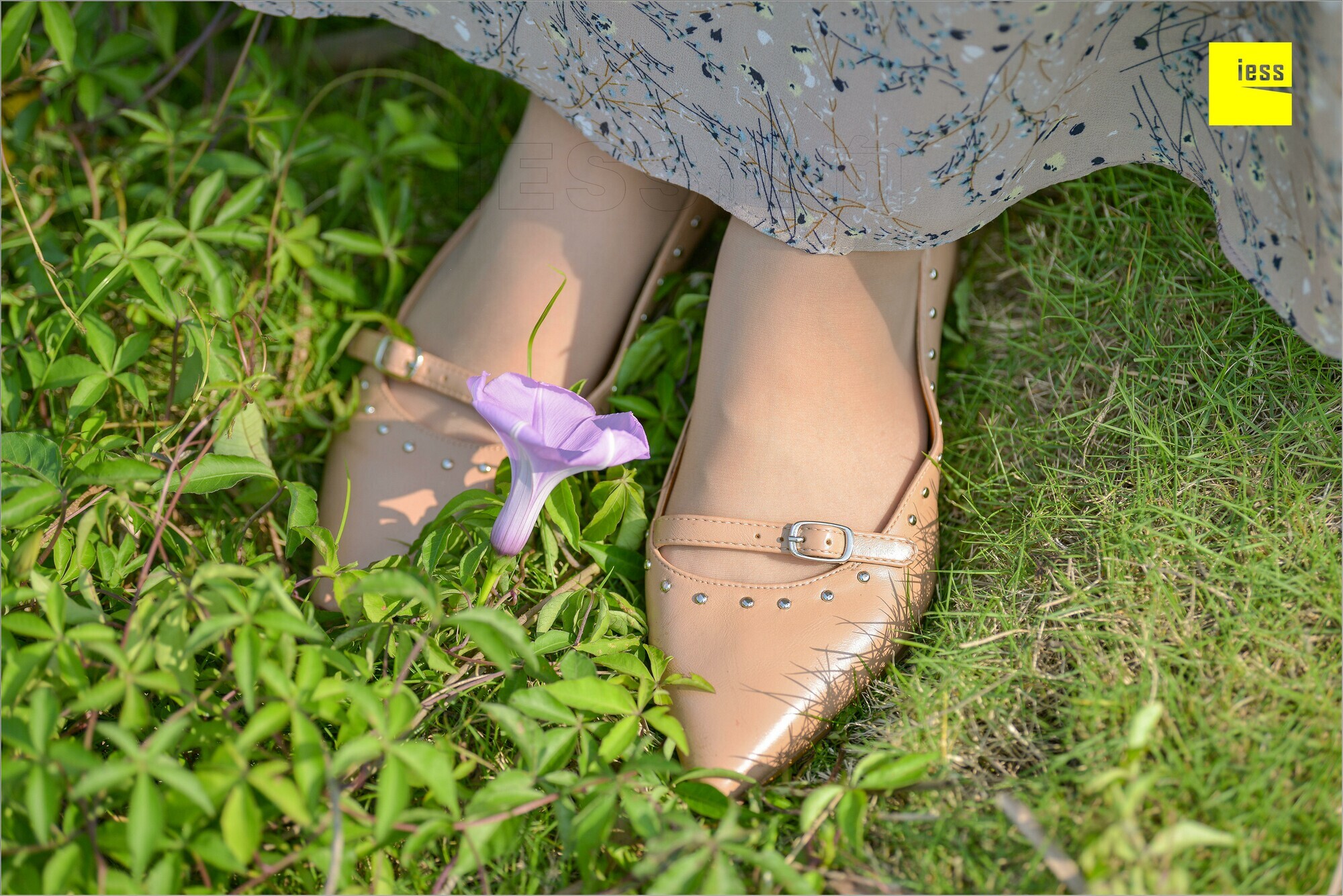 [IESS异思趣向]2018.09.03 MF.004 馨月