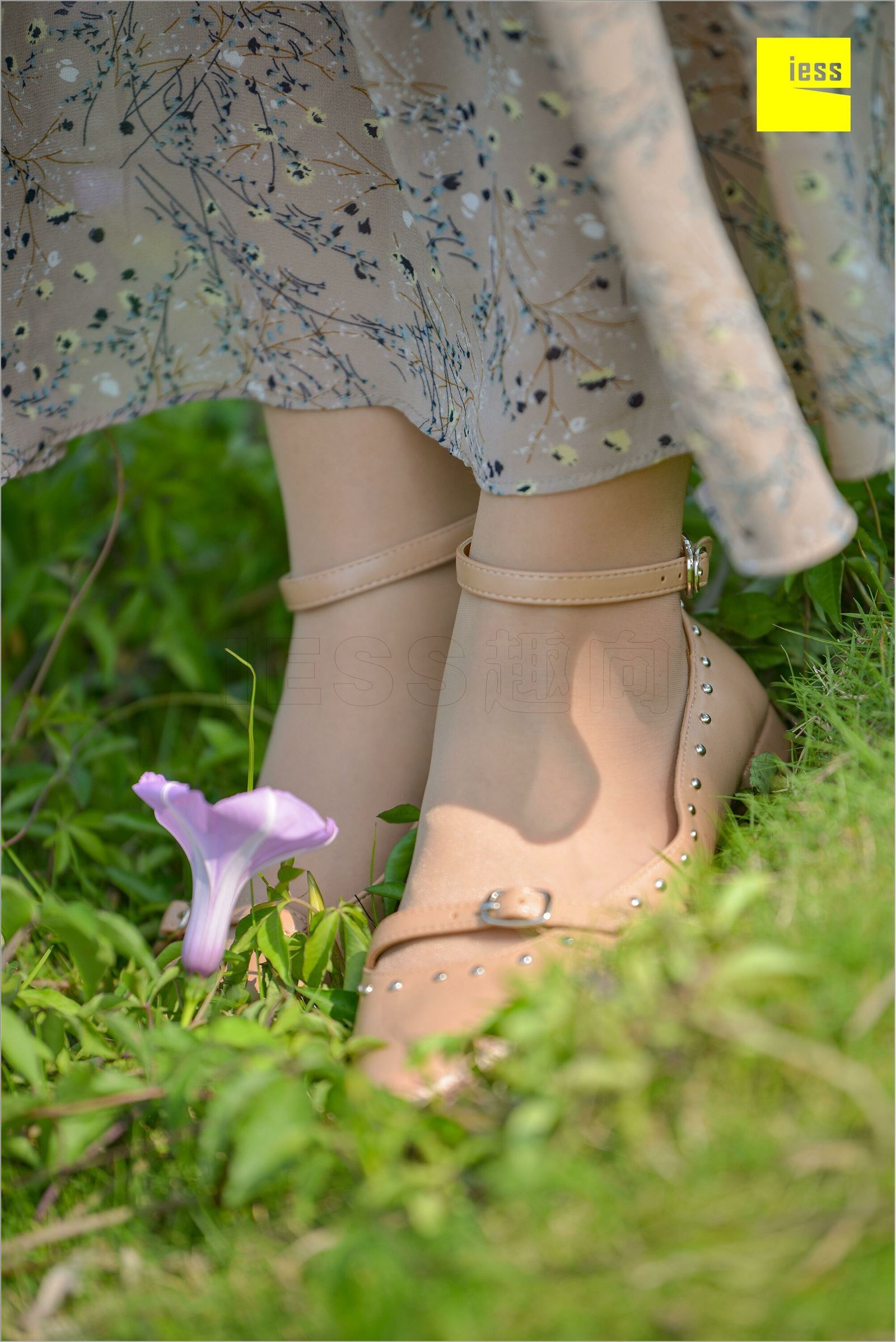 [IESS异思趣向]2018.09.03 MF.004 馨月