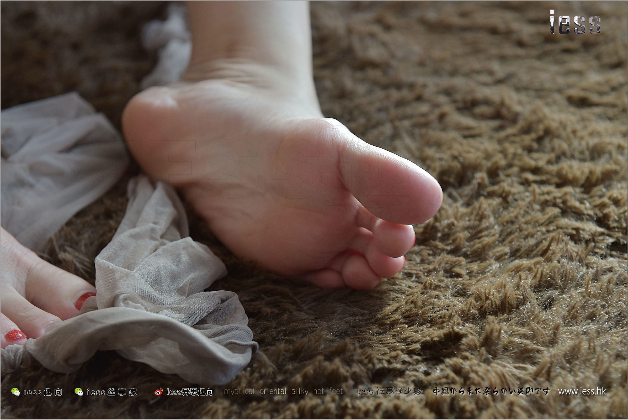 [IESS异思趣向]2017.08.29 NO.146 珊珊