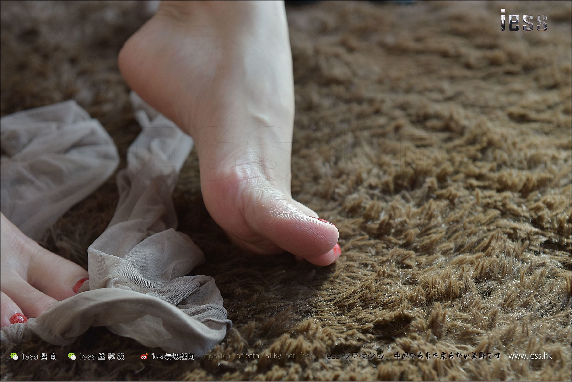 [IESS异思趣向]2017.08.29 NO.146 珊珊