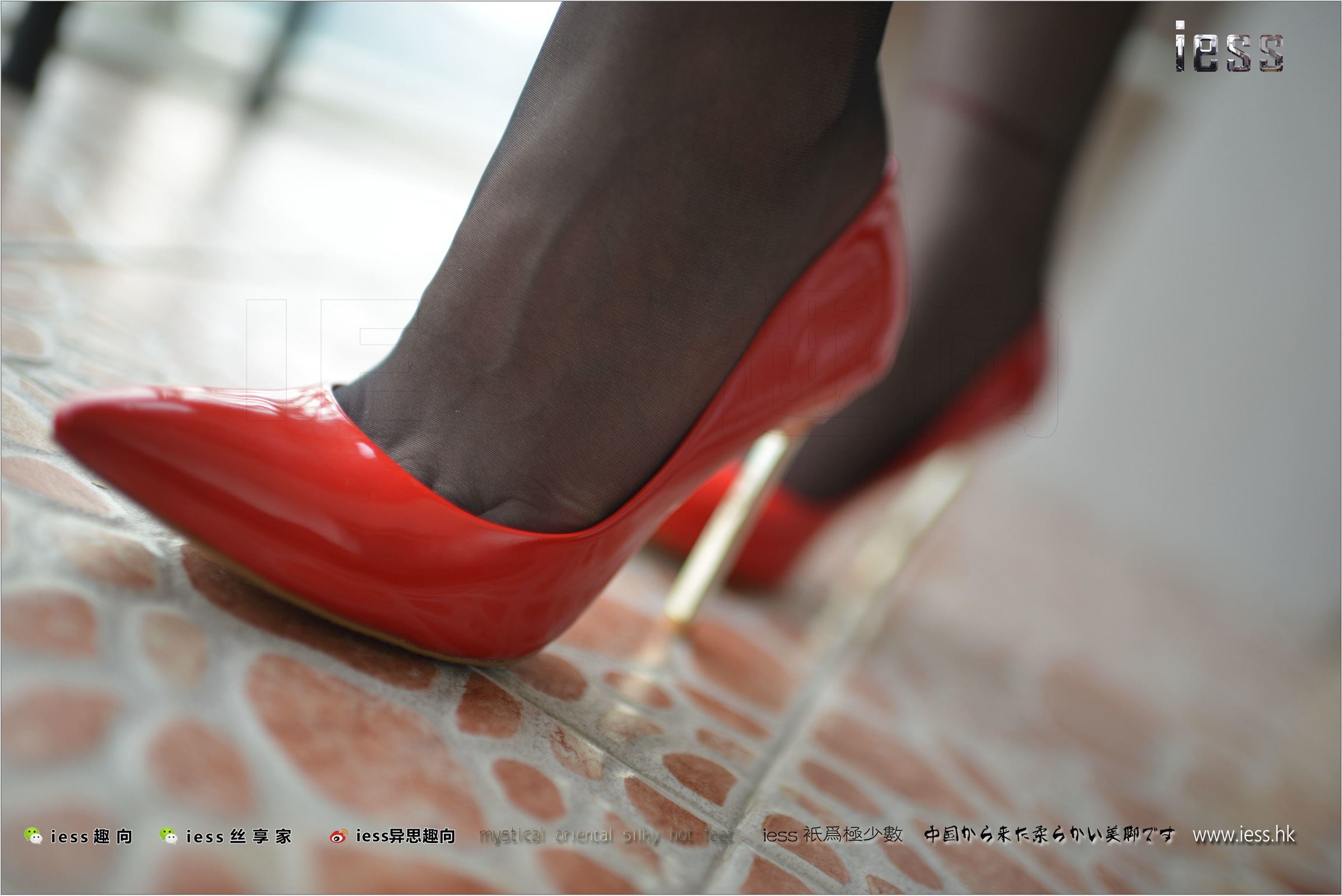 [IESS异思趣向]2017.09.03 NO.147 妃妃