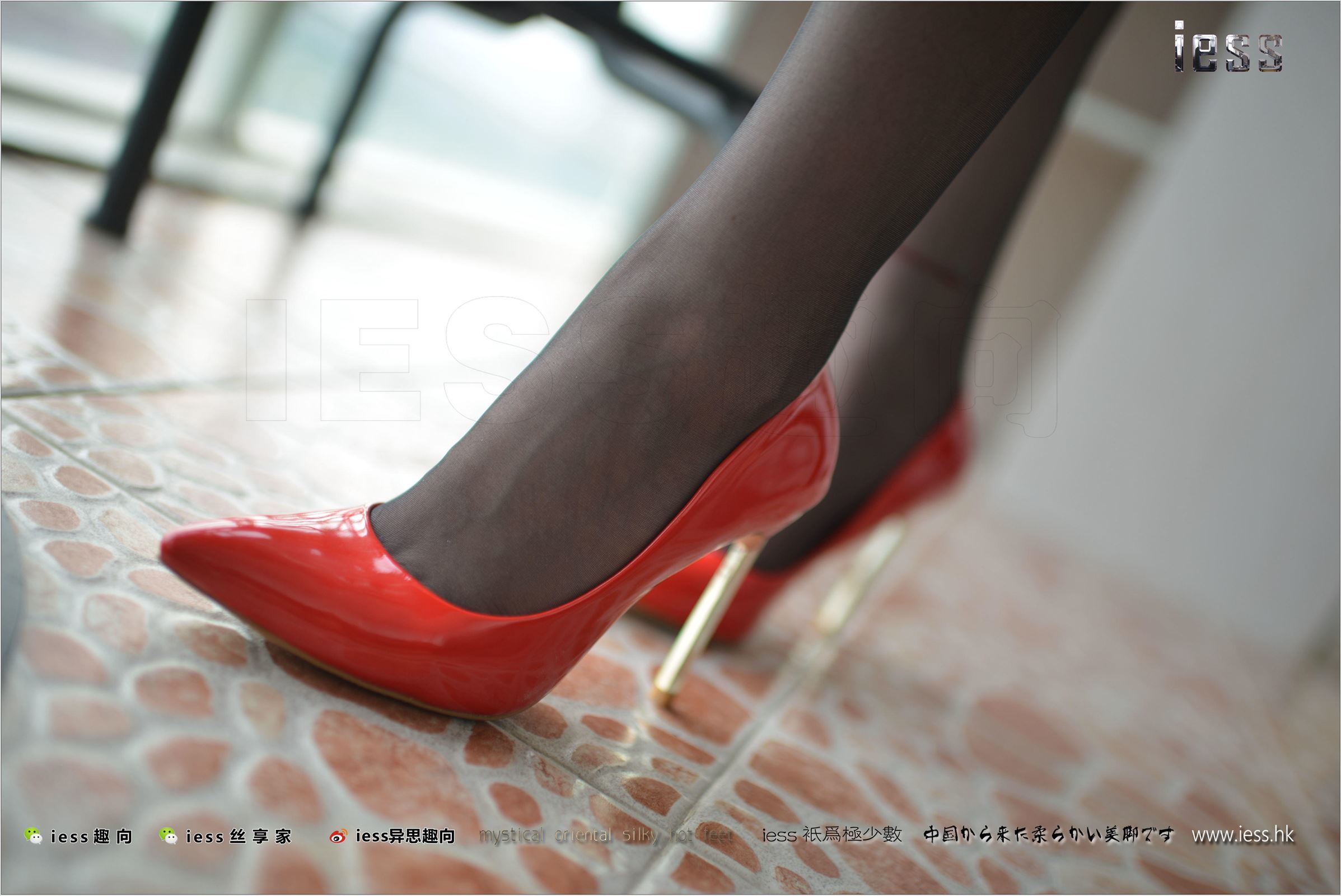 [IESS异思趣向]2017.09.03 NO.147 妃妃