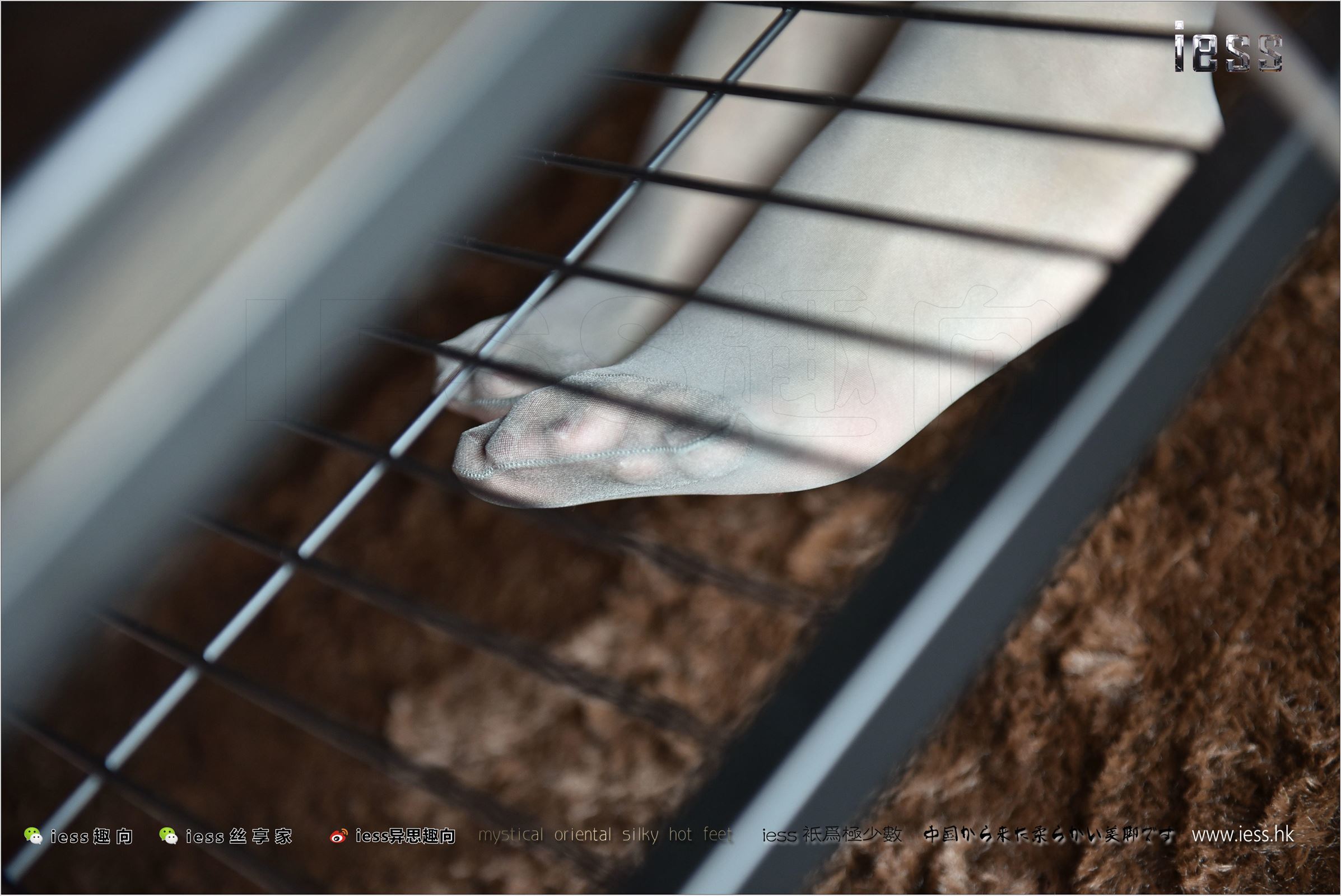 [IESS异思趣向]2017.11.15 NO.169 薇薇