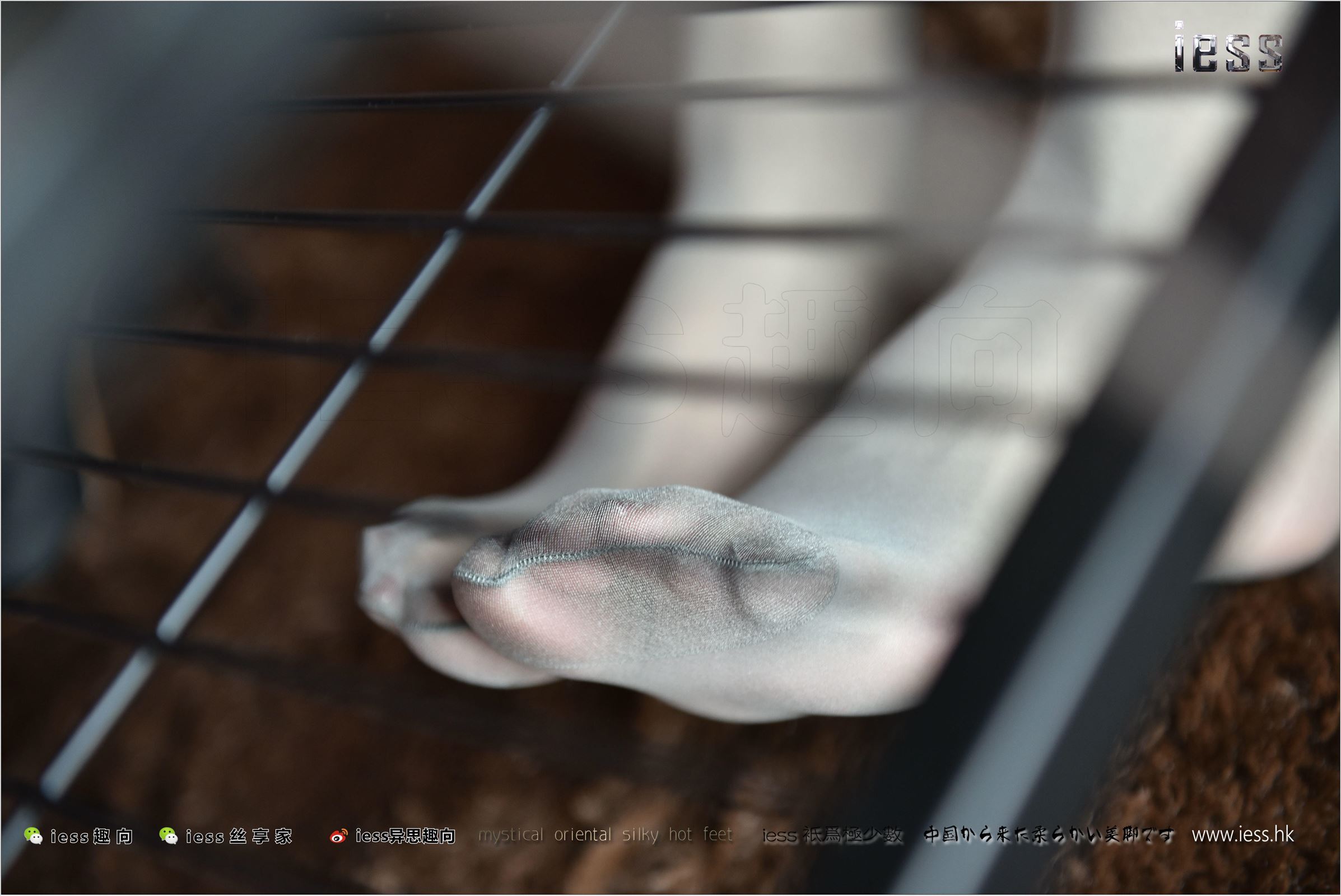 [IESS异思趣向]2017.11.15 NO.169 薇薇