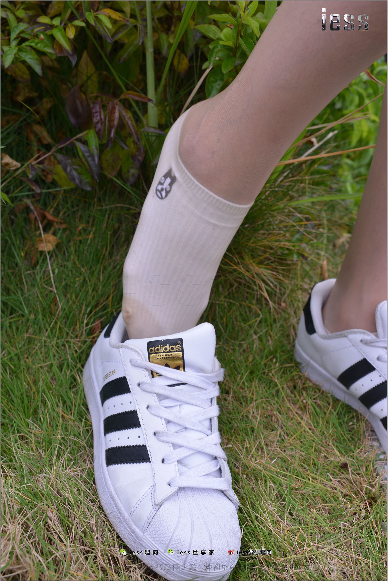 [IESS异思趣向]2017.11.29 NO.172 圆叔叔