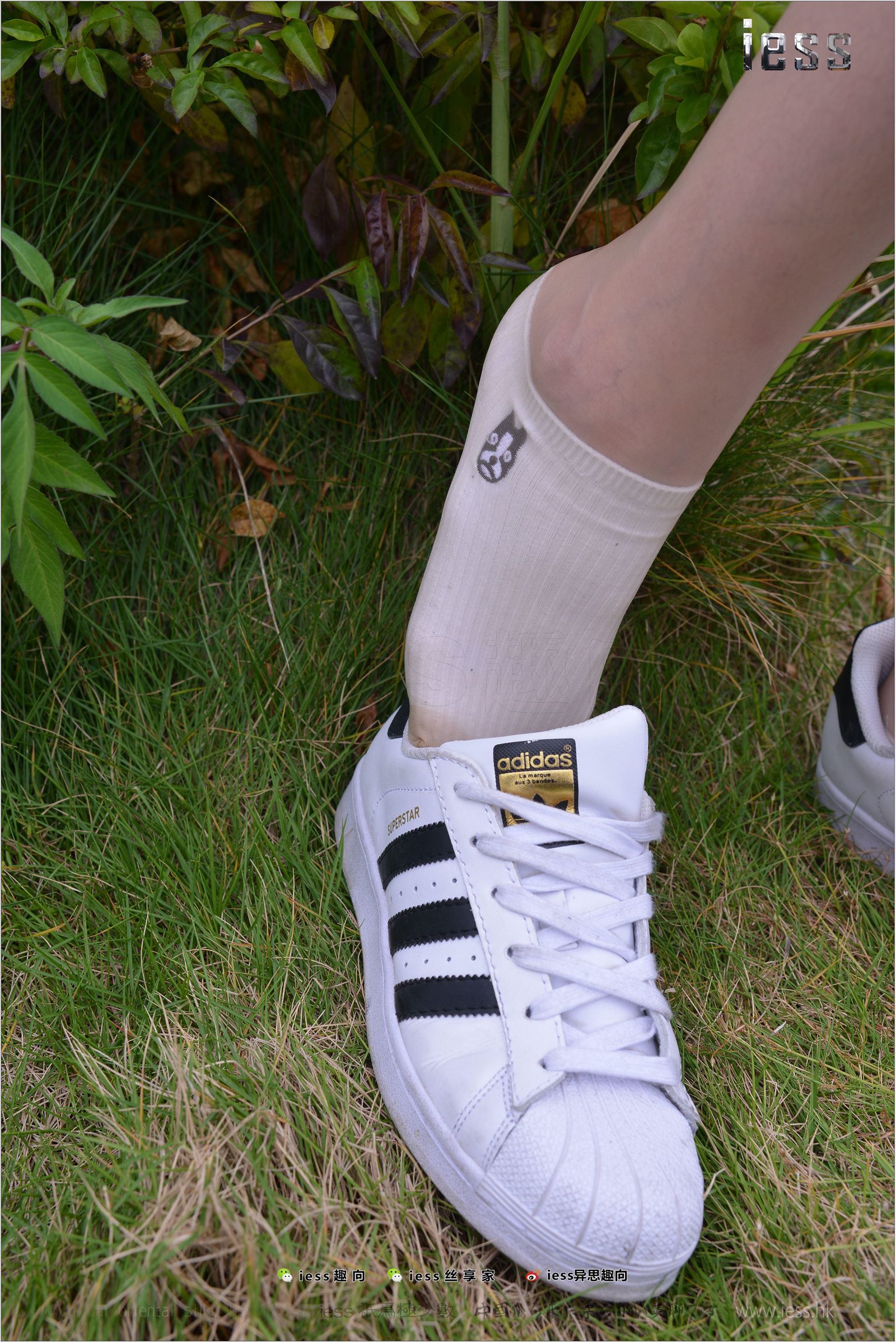 [IESS异思趣向]2017.11.29 NO.172 圆叔叔