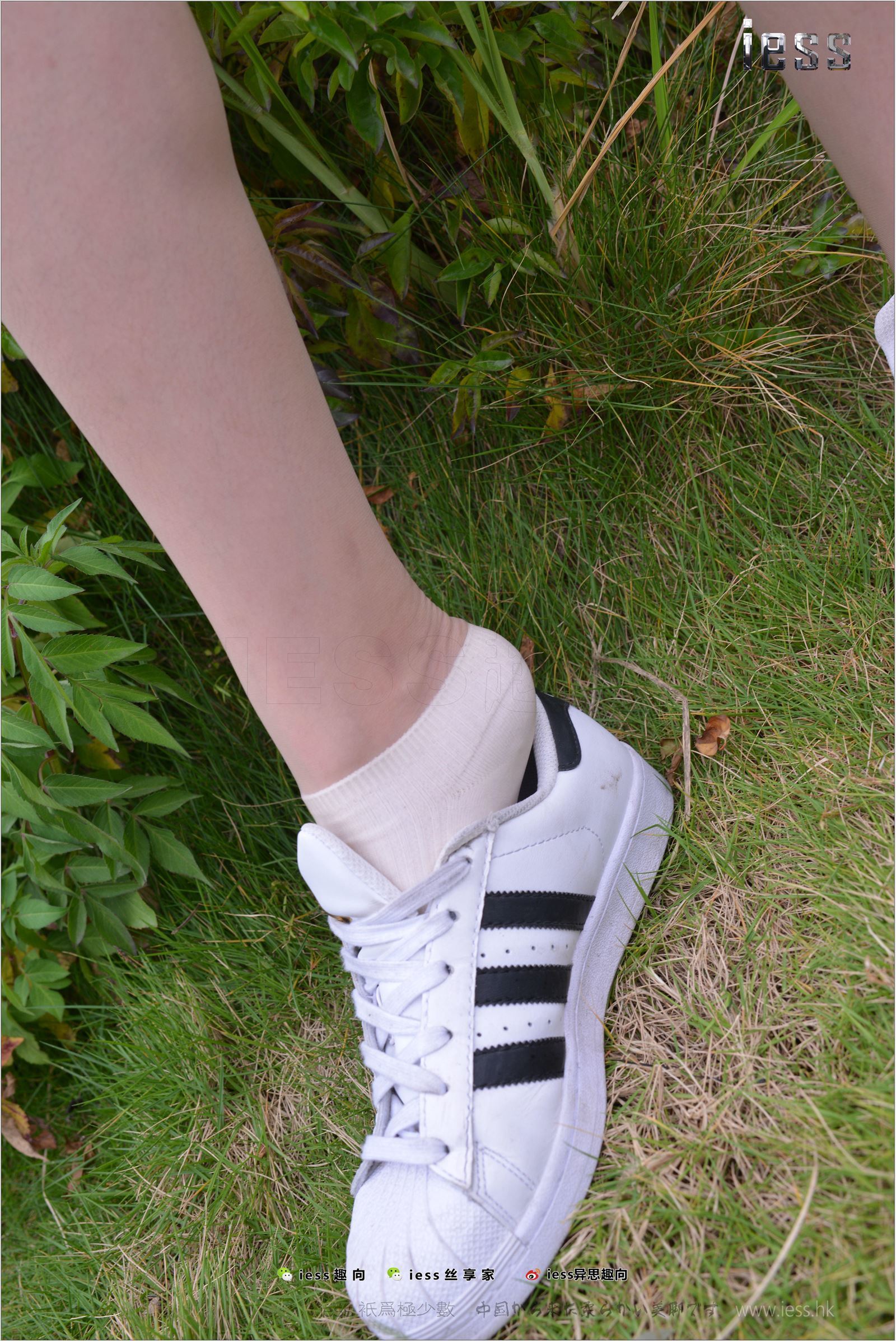 [IESS异思趣向]2017.11.29 NO.172 圆叔叔