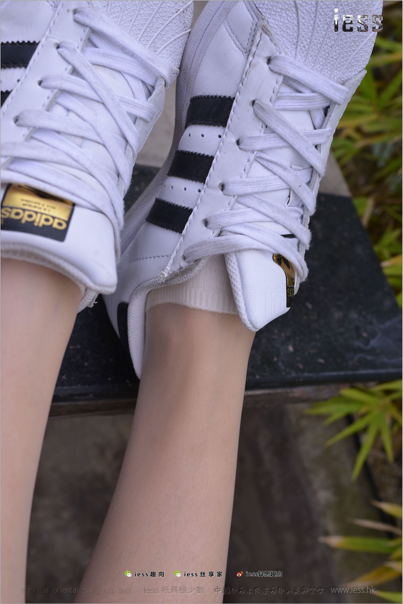 [IESS异思趣向]2017.11.29 NO.172 圆叔叔