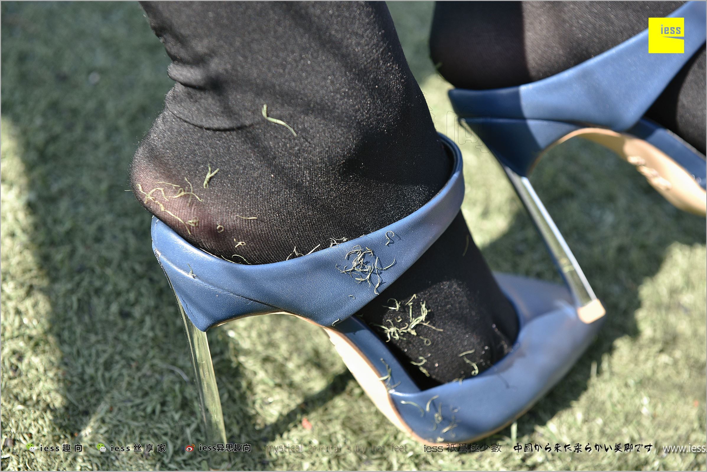 [IESS异思趣向]2017.12.25 NO.182 静静