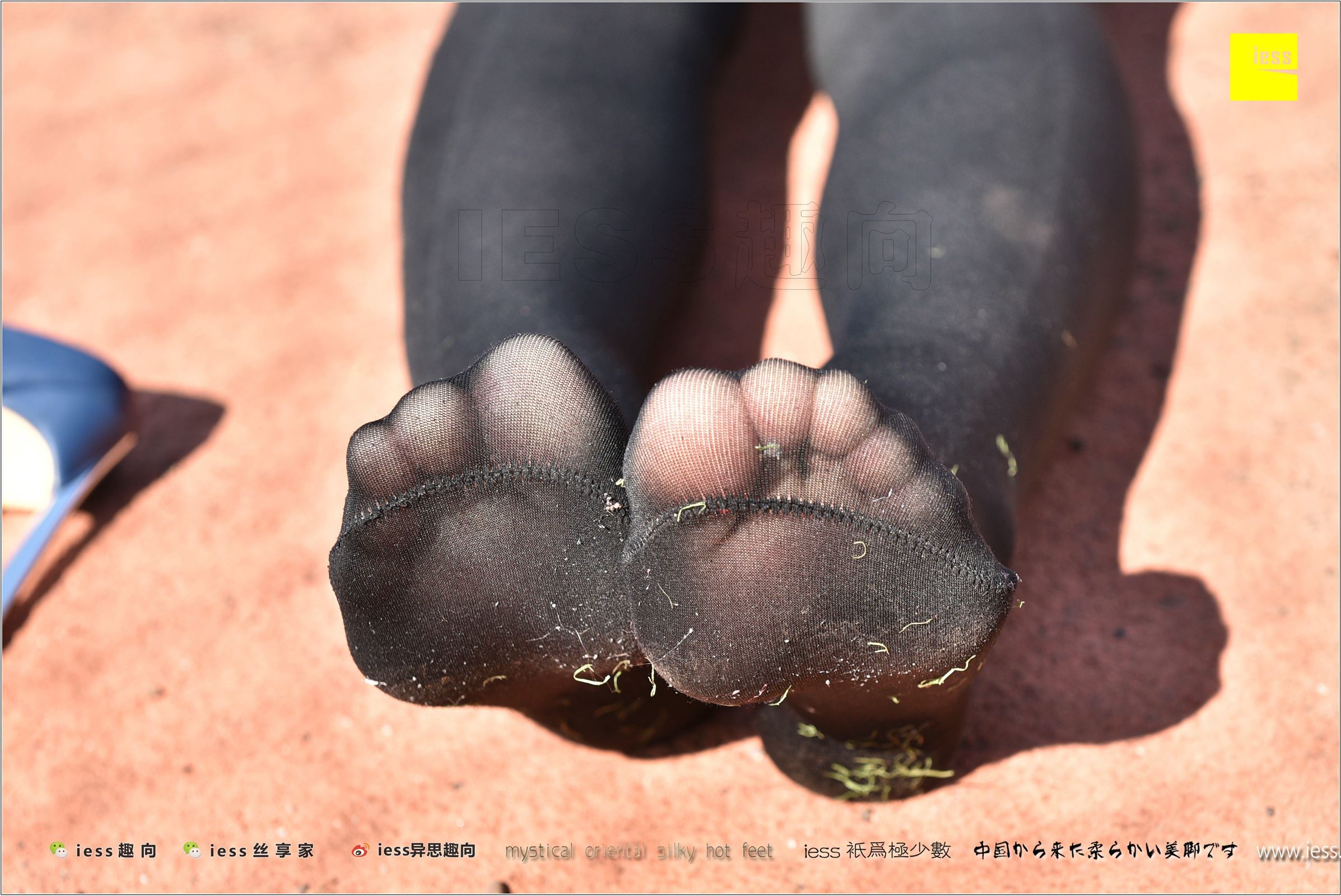 [IESS异思趣向]2017.12.25 NO.182 静静