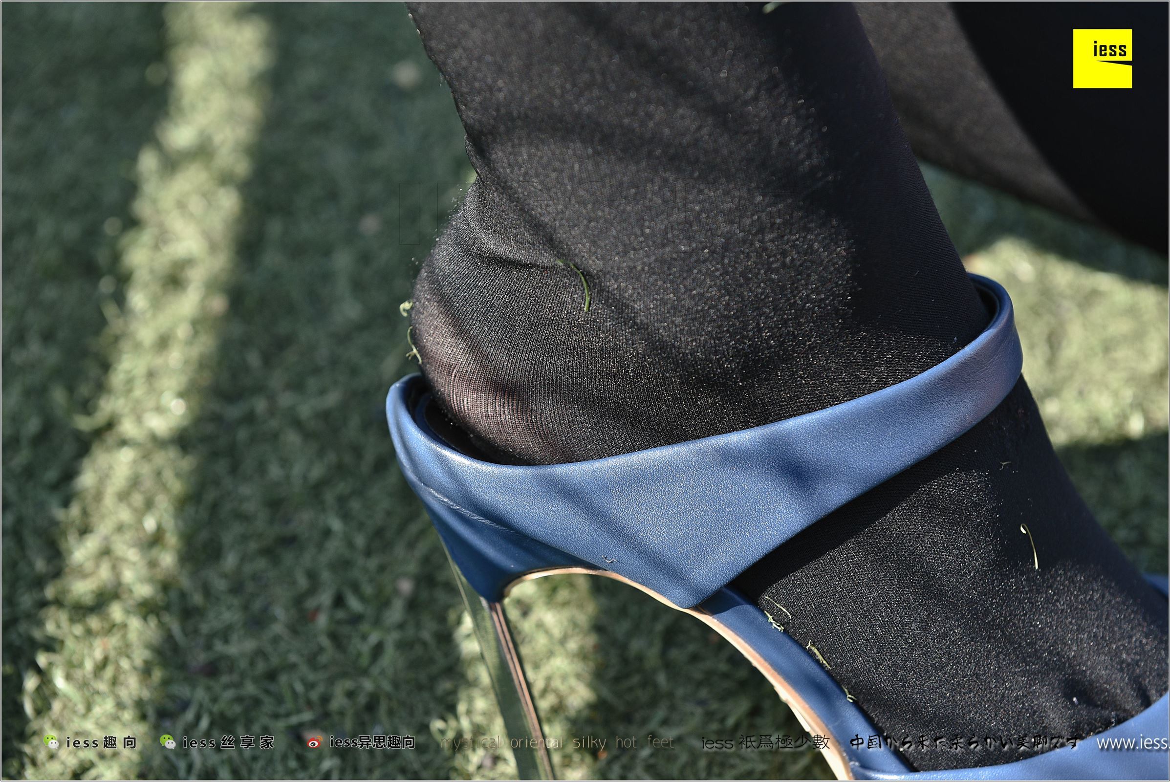 [IESS异思趣向]2017.12.25 NO.182 静静