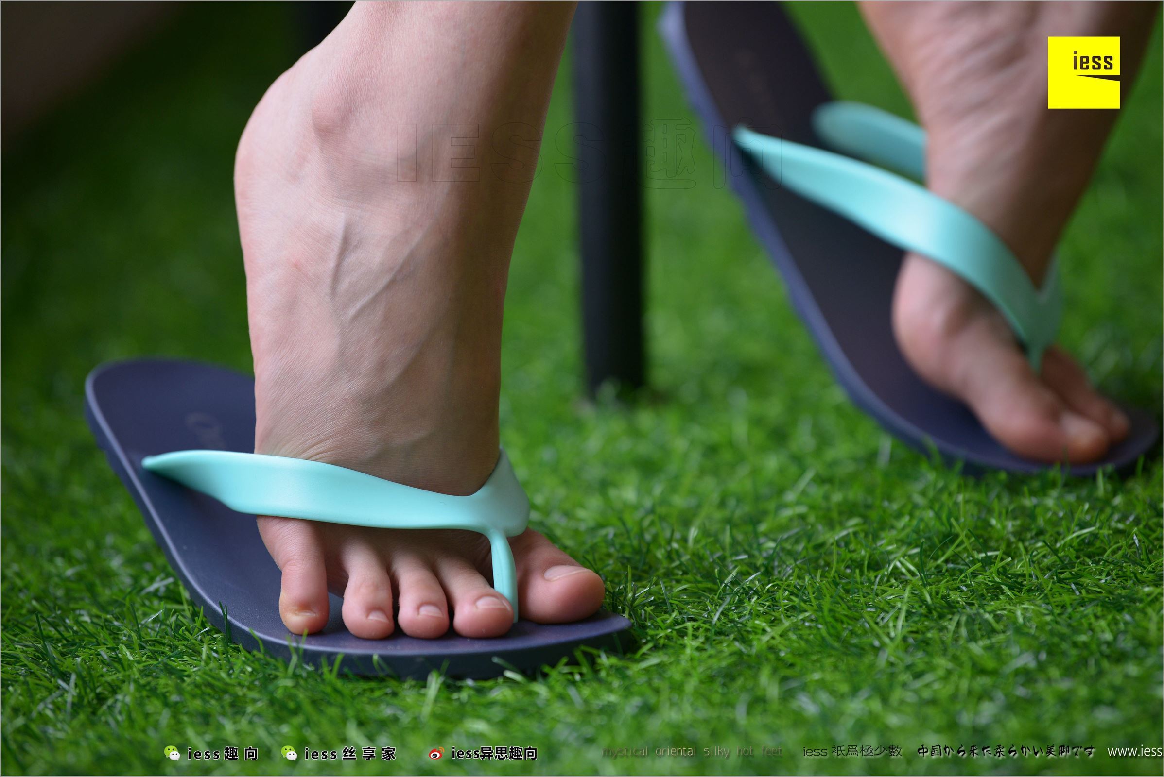 [IESS异思趣向]2018.04.23 NO.221 春暖