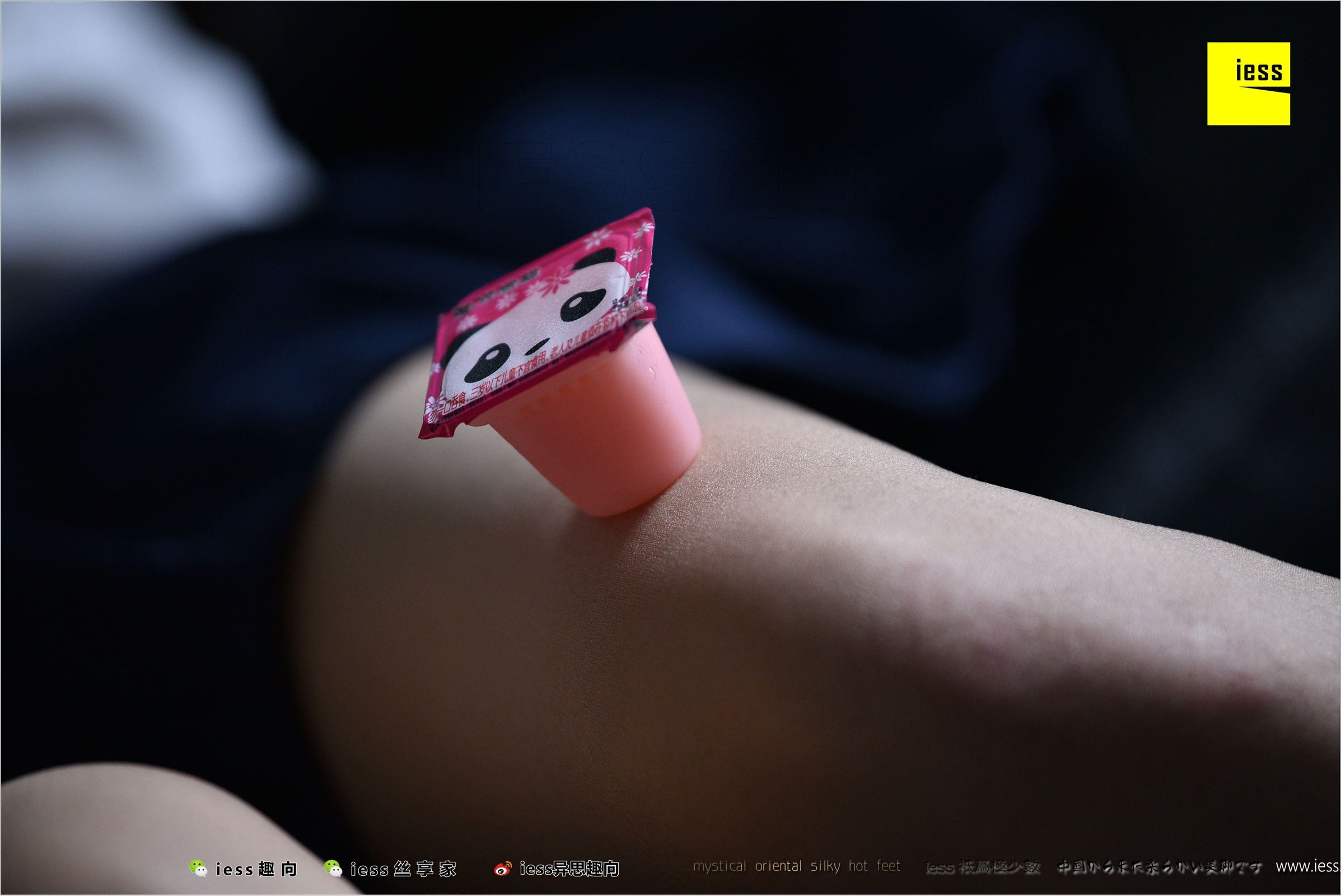 [IESS异思趣向]2018.04.27 NO.223 幸子