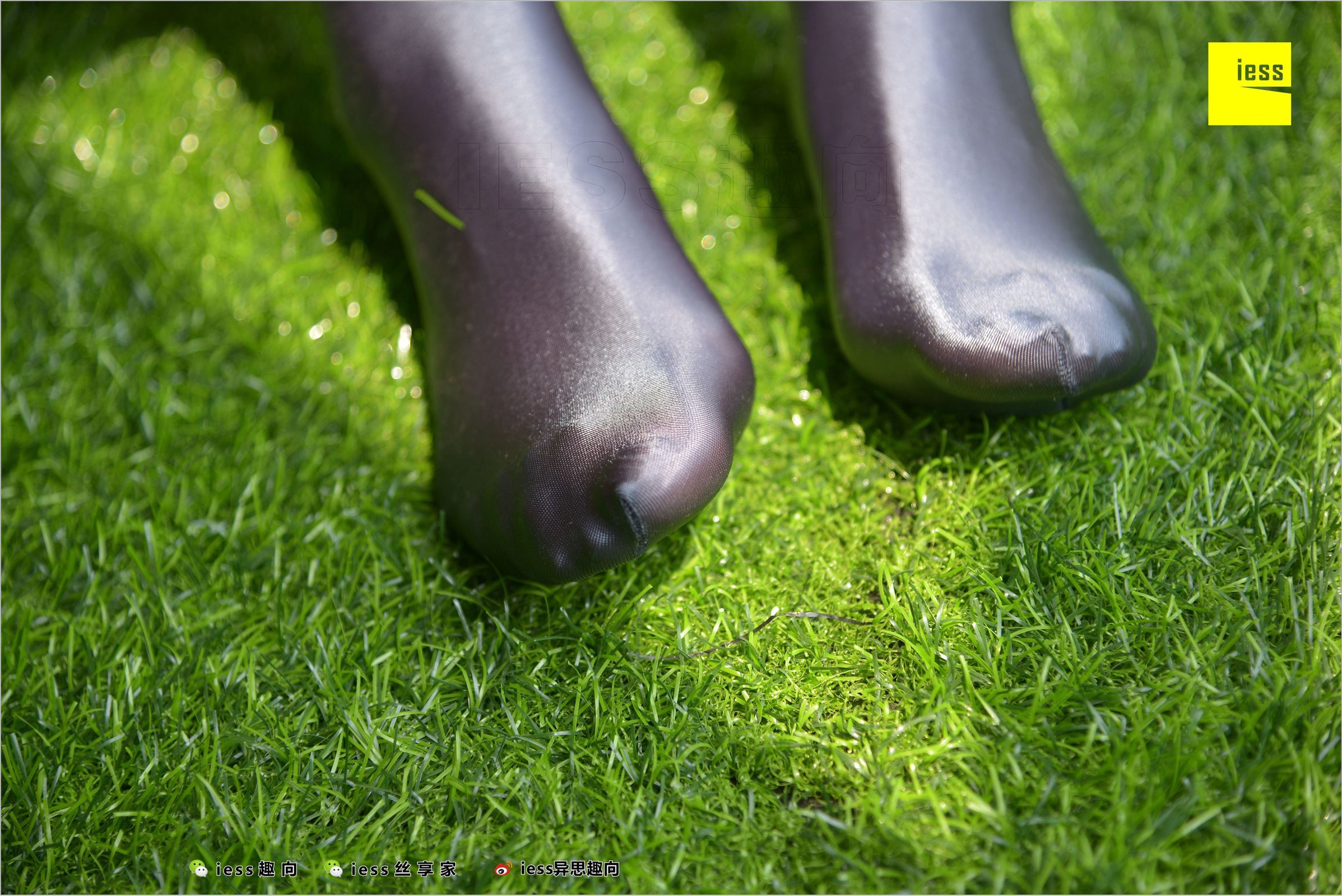 [IESS异思趣向]2018.05.18 NO.232 YT