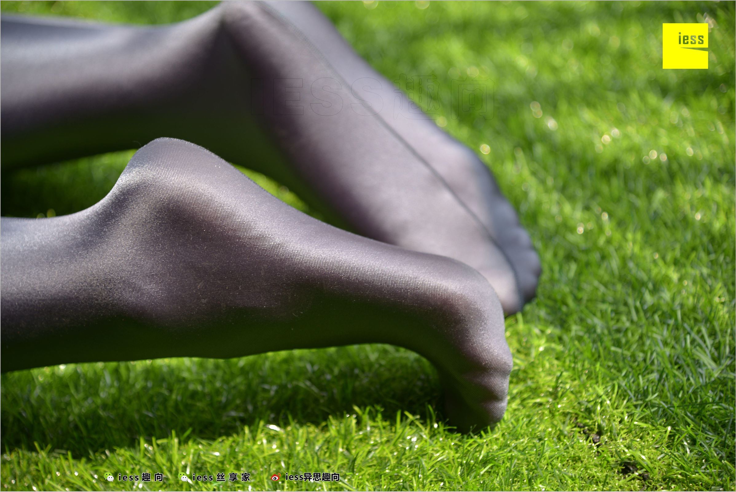 [IESS异思趣向]2018.05.18 NO.232 YT