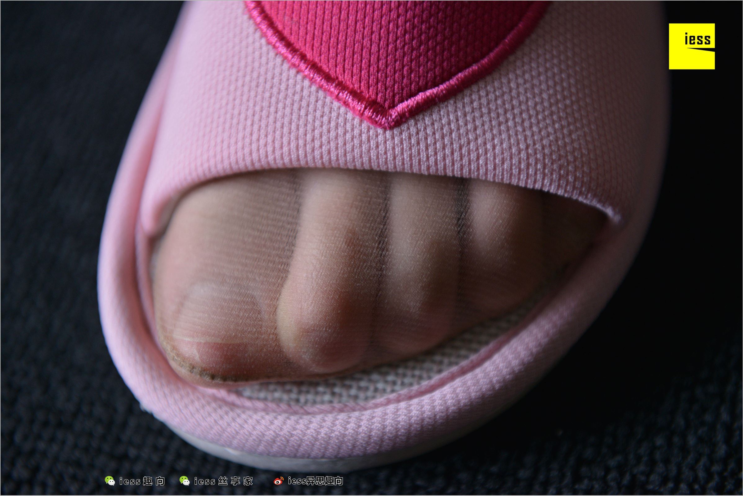 [IESS异思趣向]2018.05.27 NO.235 云芝