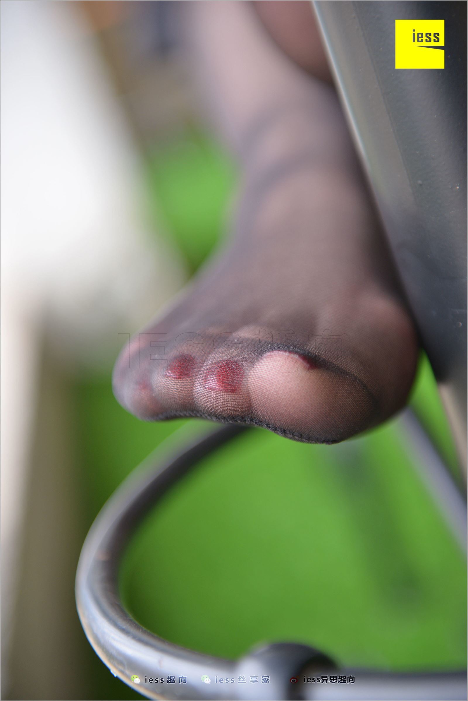 [IESS异思趣向]2018.06.25 NO.244 名利姐