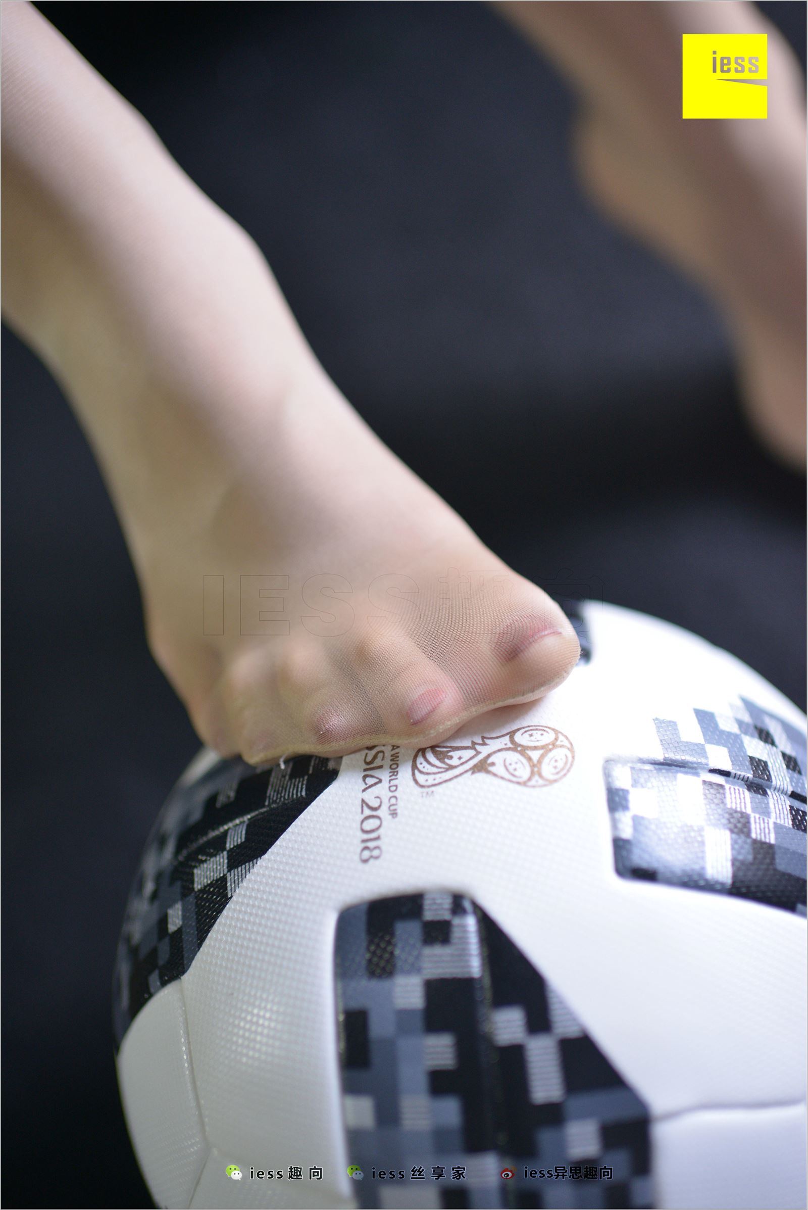 [IESS异思趣向]2018.07.03 NO.248 云芝