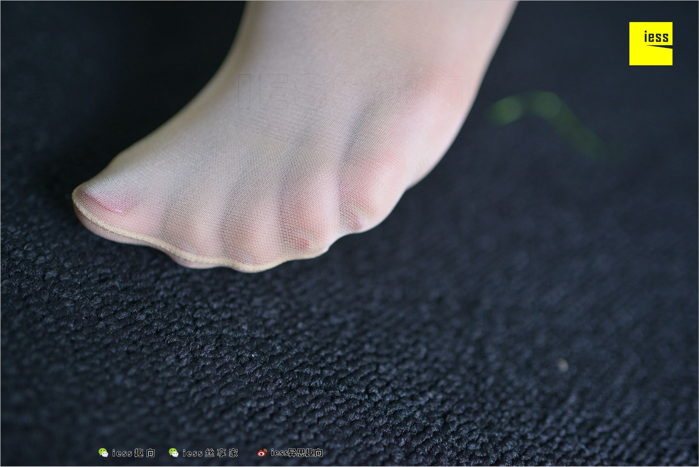 [IESS异思趣向]2018.07.03 NO.248 云芝