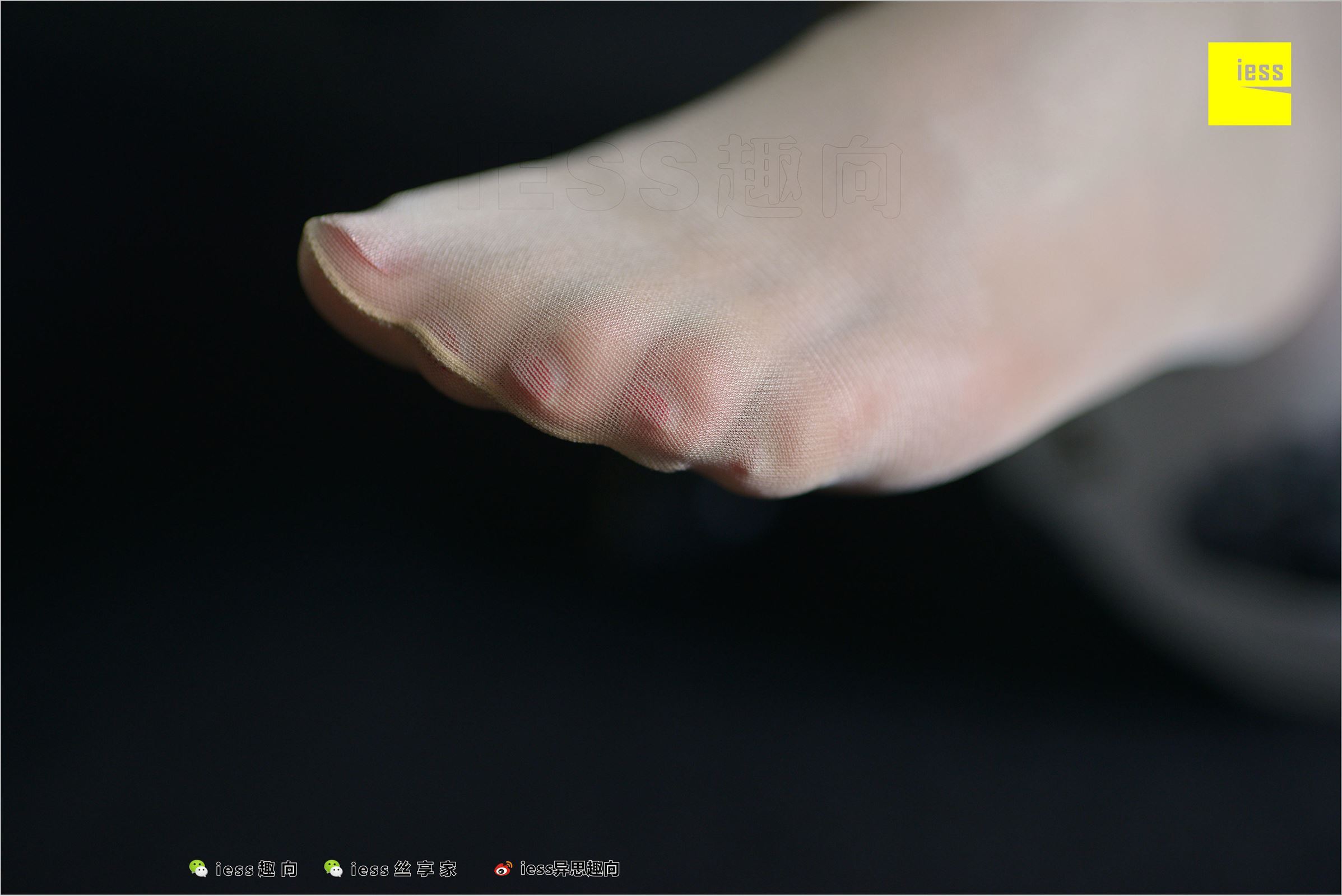 [IESS异思趣向]2018.07.03 NO.248 云芝