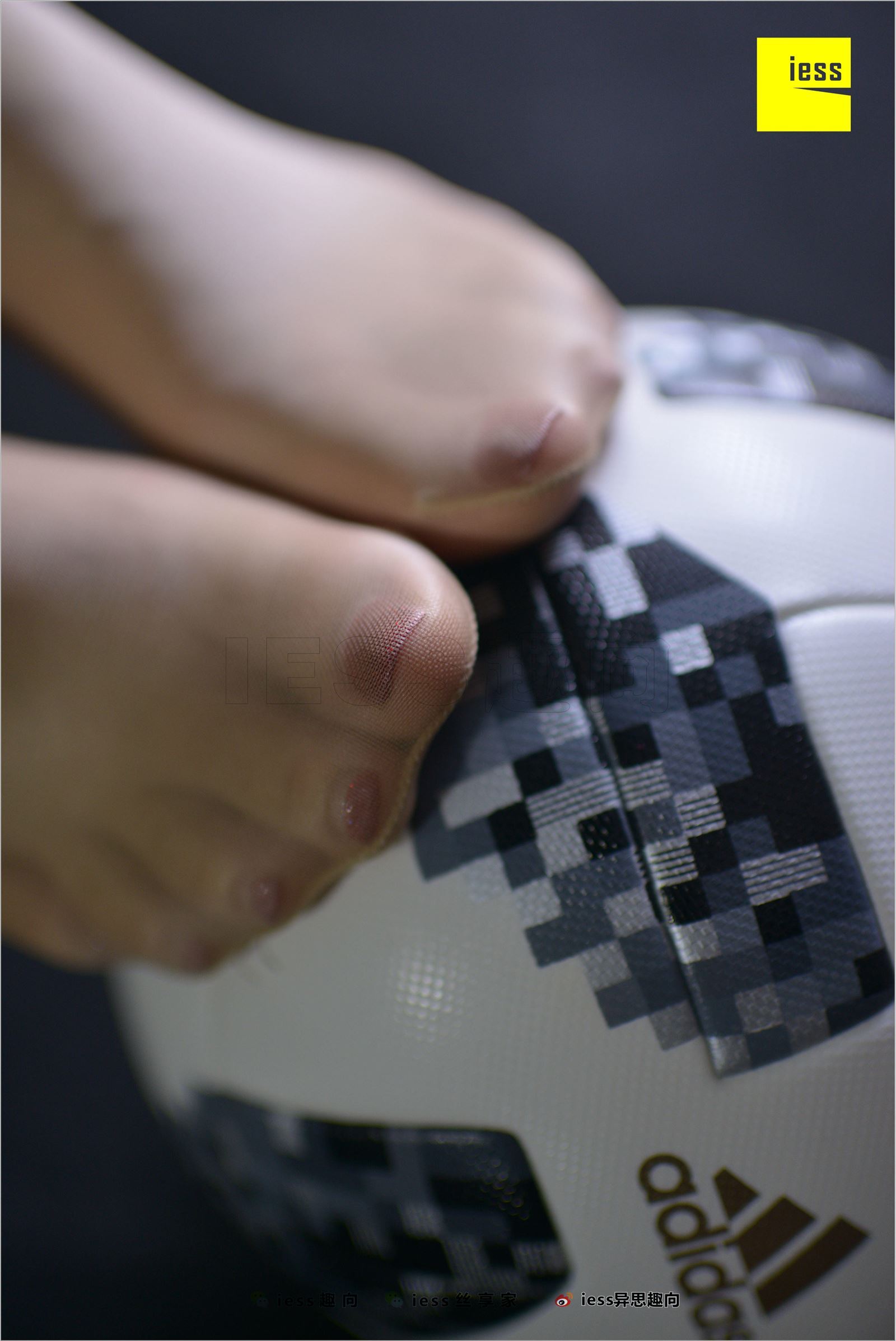 [IESS异思趣向]2018.07.03 NO.248 云芝