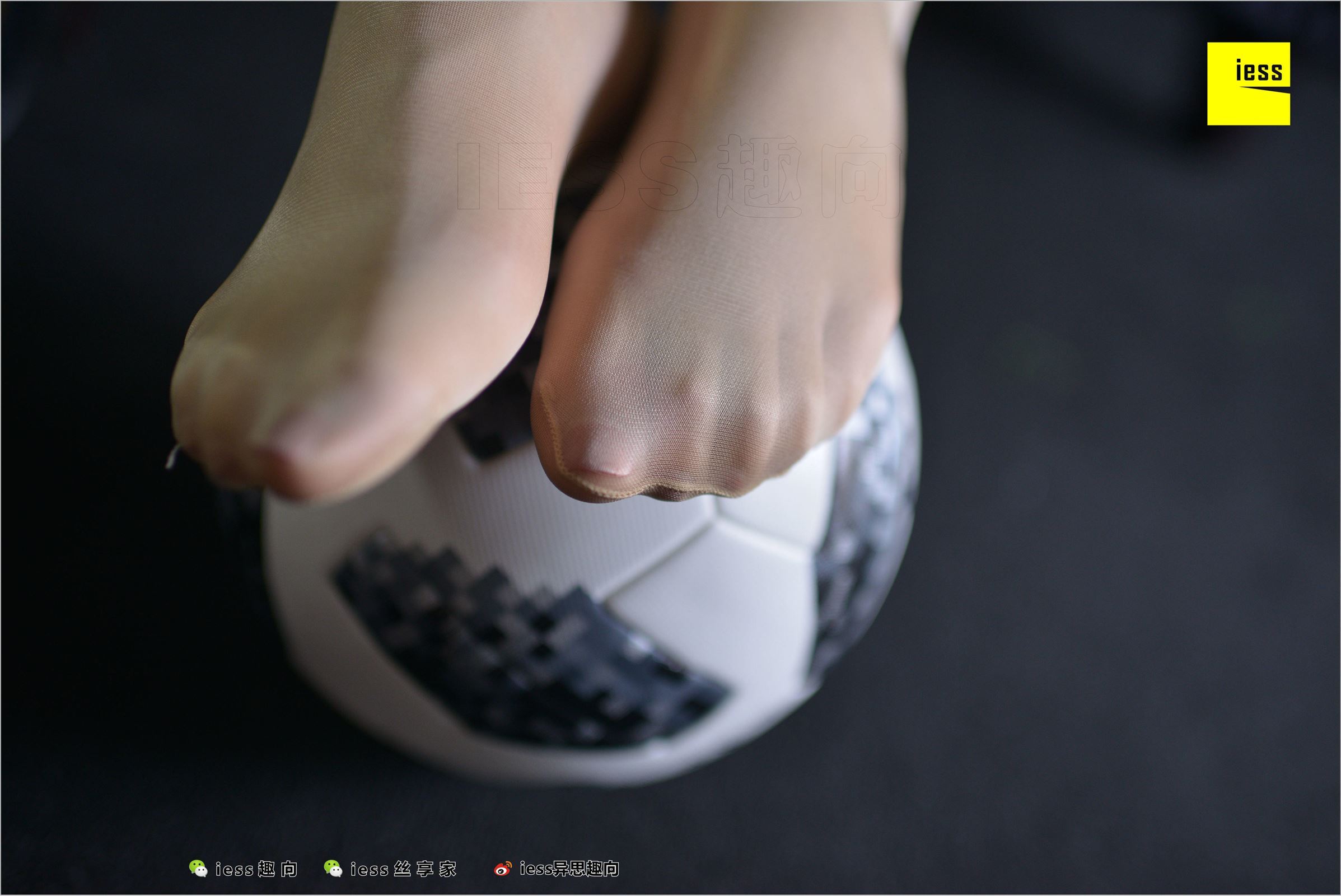 [IESS异思趣向]2018.07.03 NO.248 云芝