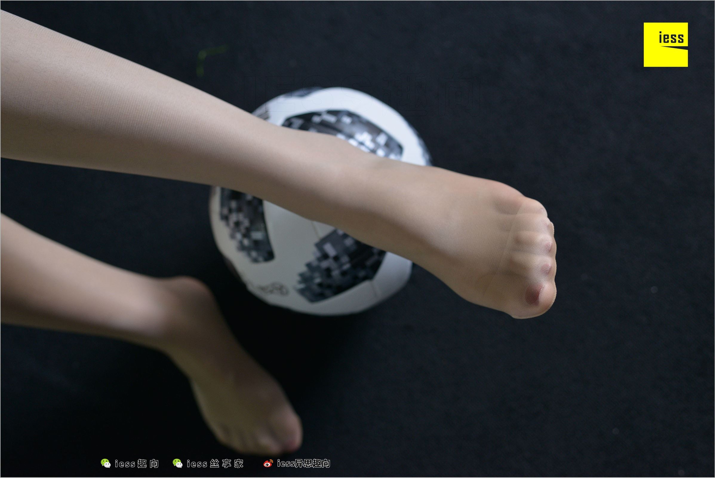 [IESS异思趣向]2018.07.03 NO.248 云芝