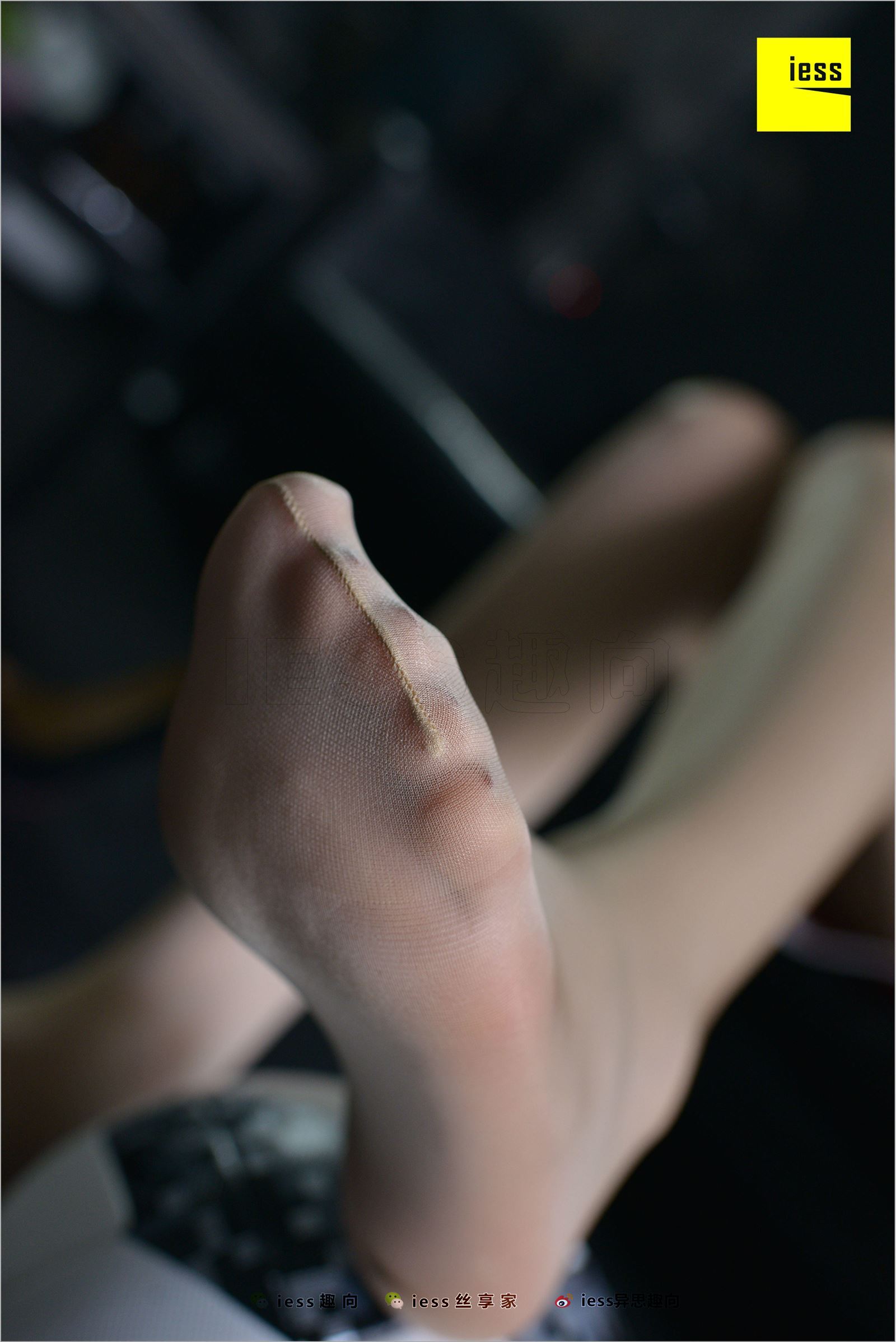 [IESS异思趣向]2018.07.03 NO.248 云芝