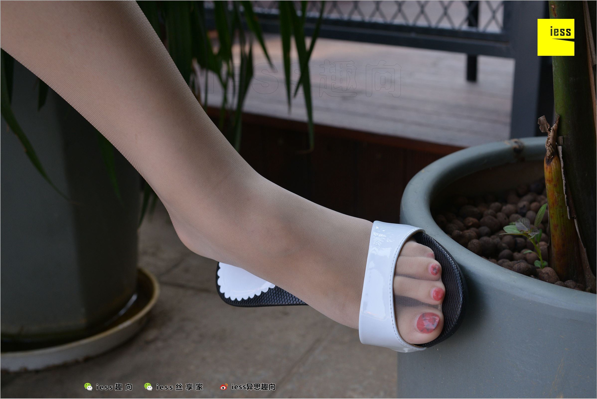 [IESS异思趣向]2018.07.08 NO.250 芳芳