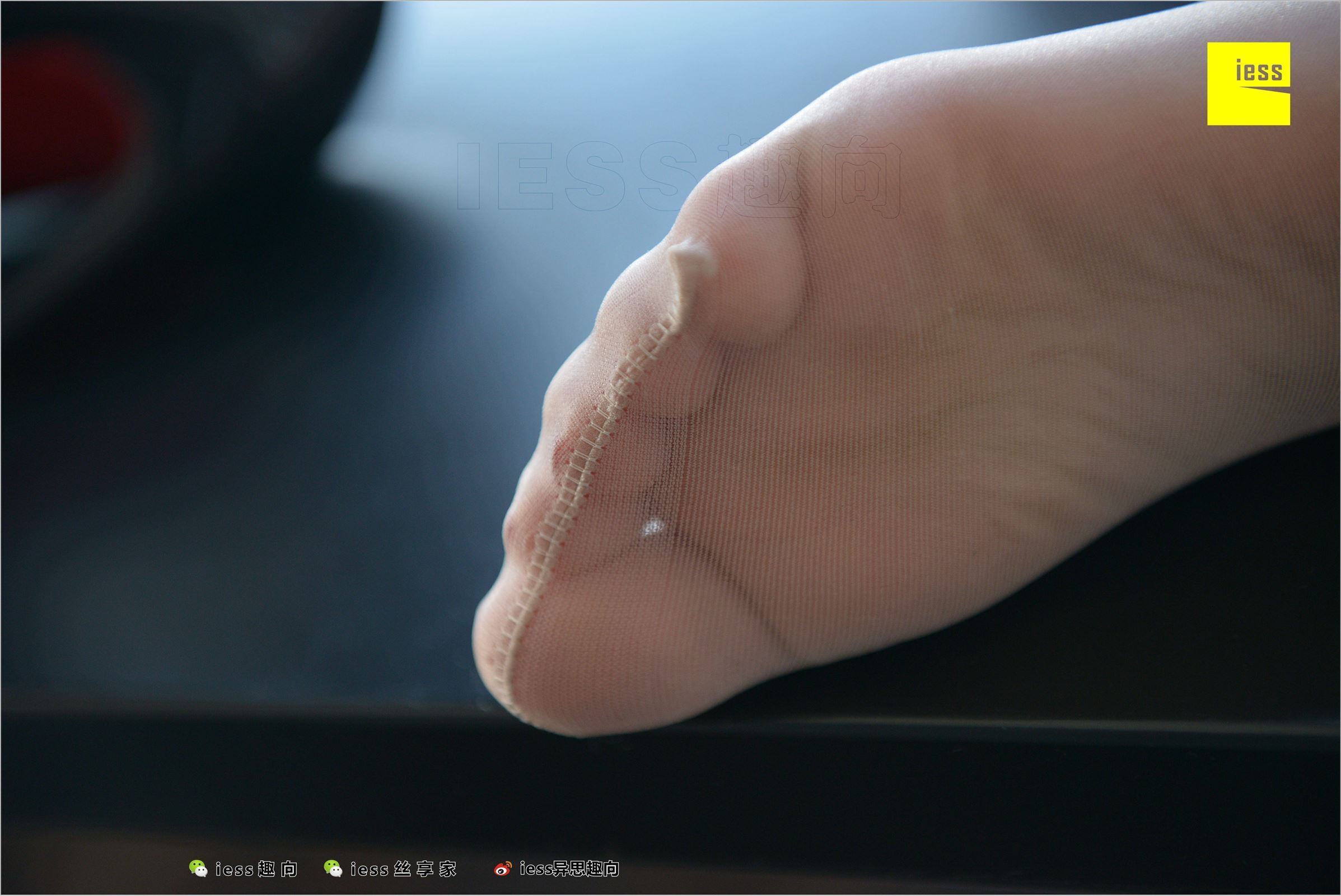 [IESS异思趣向]2018.07.09 NO.251 云芝