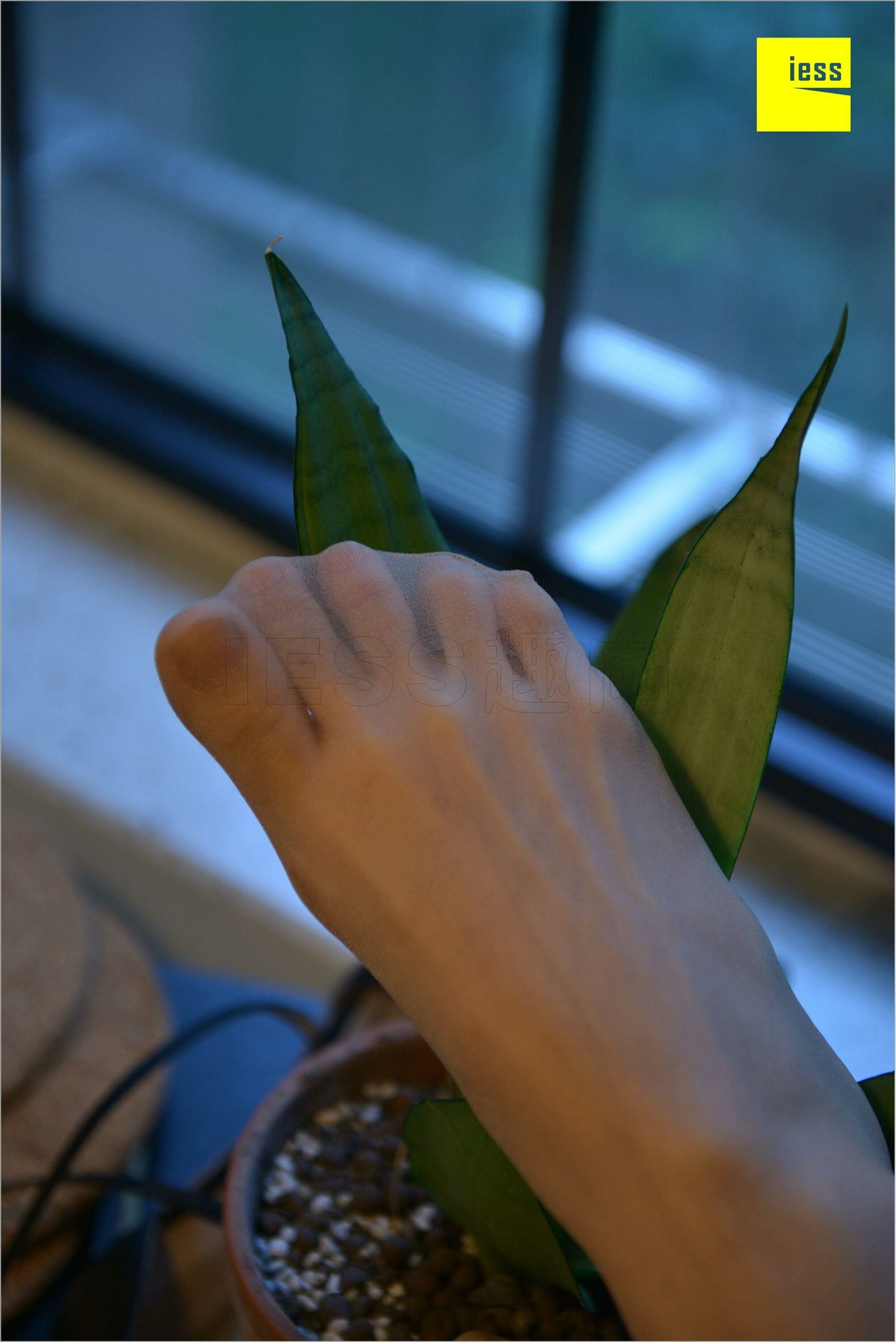 [IESS异思趣向]2018.08.17 NO.262 小六