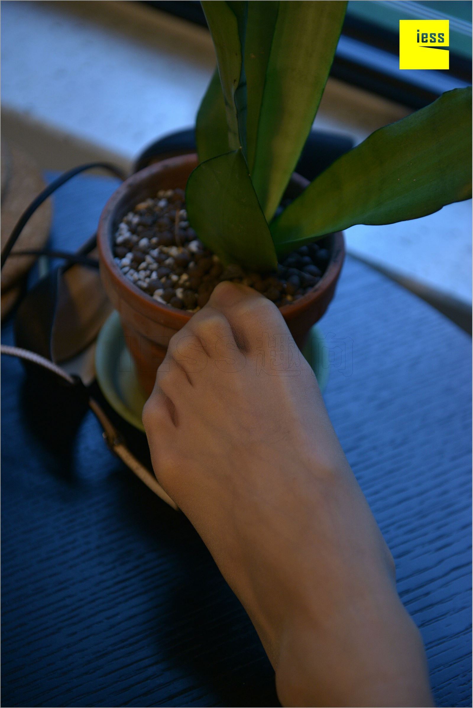 [IESS异思趣向]2018.08.17 NO.262 小六