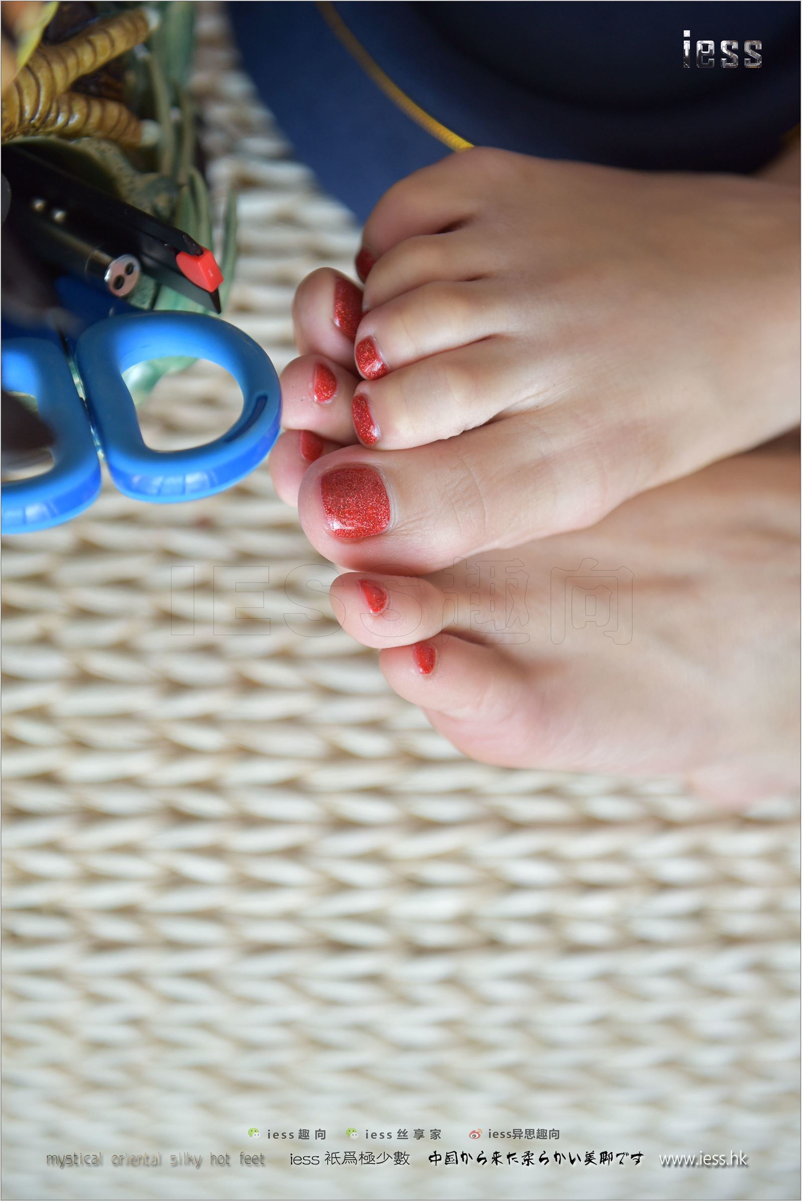 [IESS异思趣向]2017.08.19 NO.137 珊珊