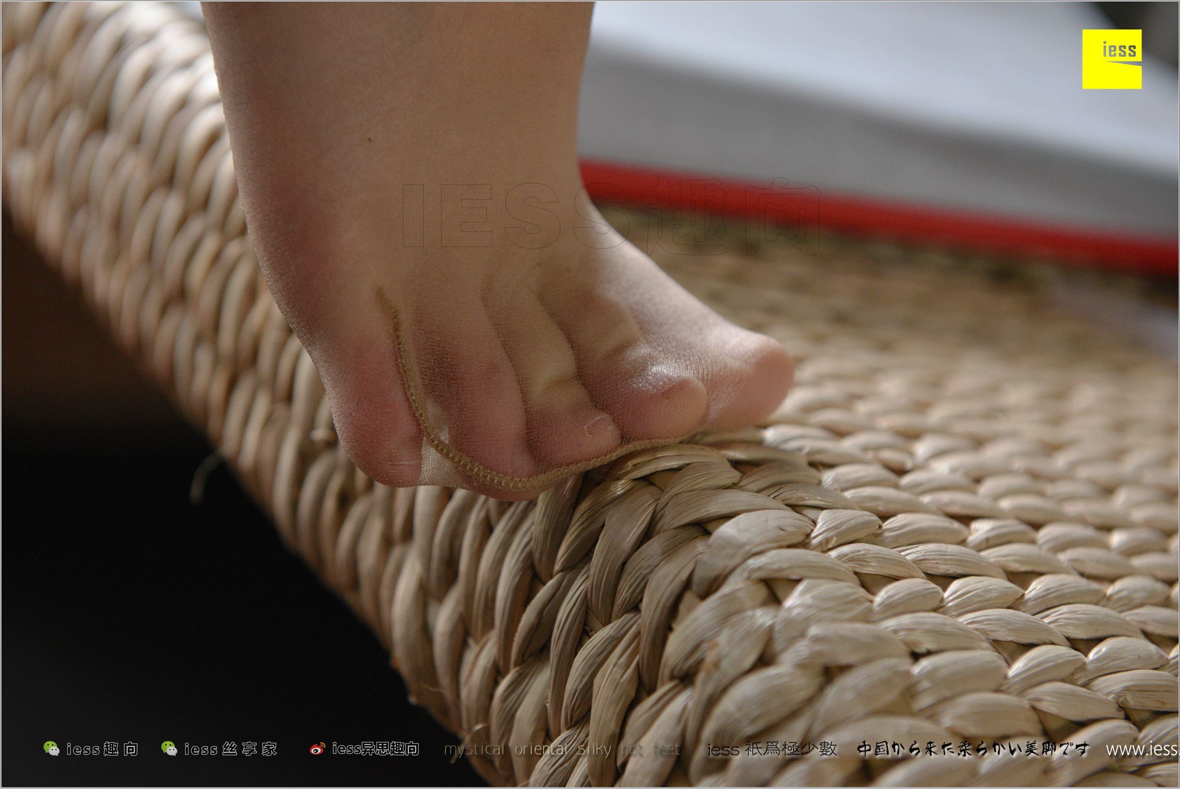 [IESS异思趣向]2018.02.22 No.202 小夕