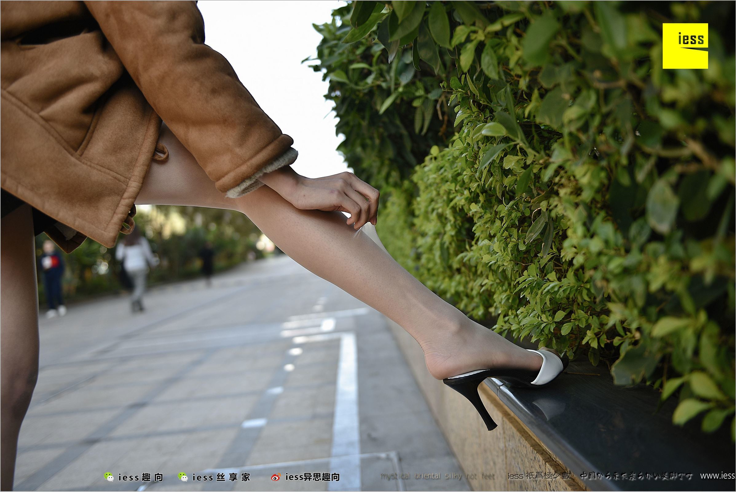 [IESS异思趣向]2018.03.19 No.208 丝源